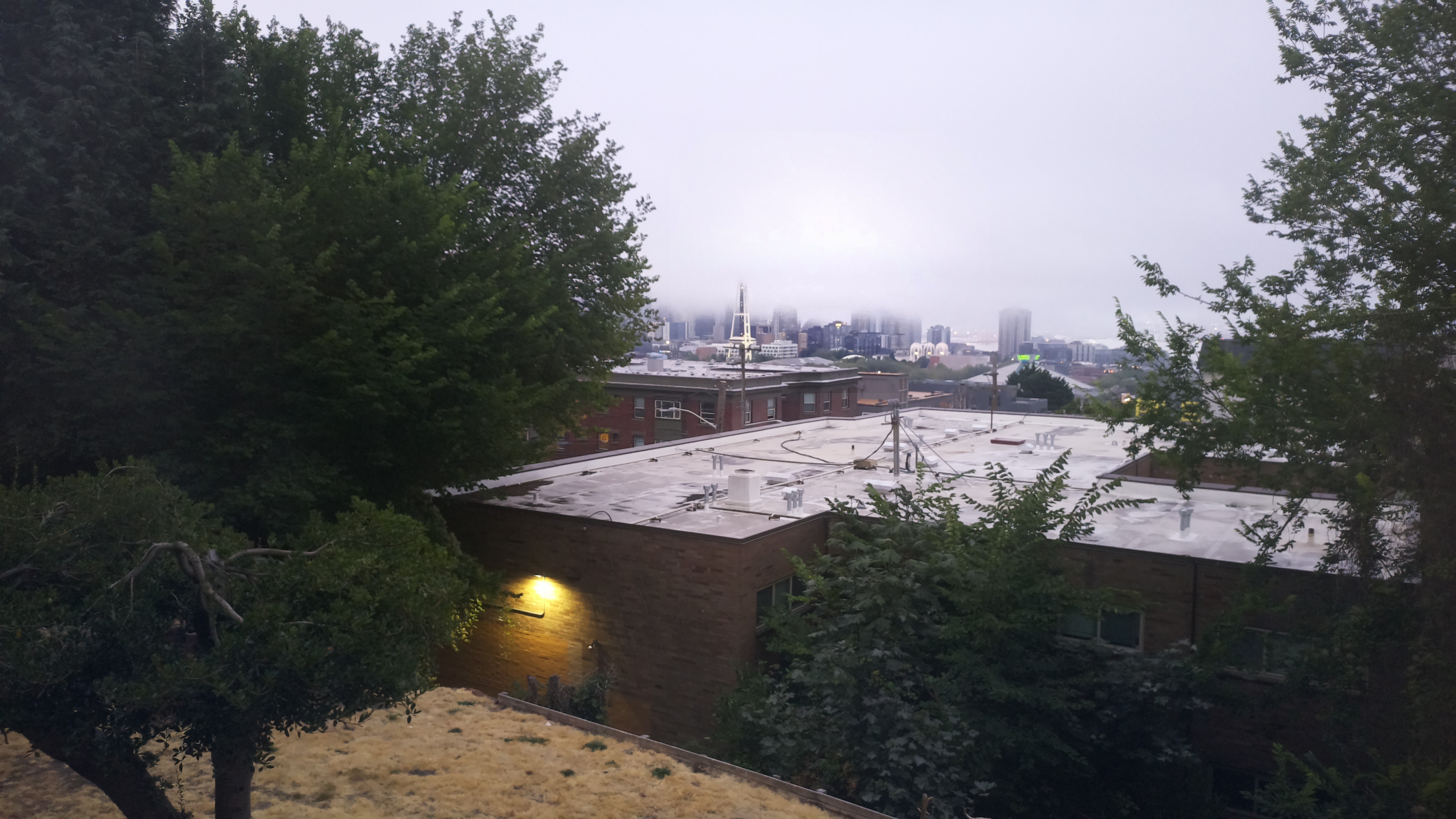 Mt. Rainier from Seattle — Friday, August 14