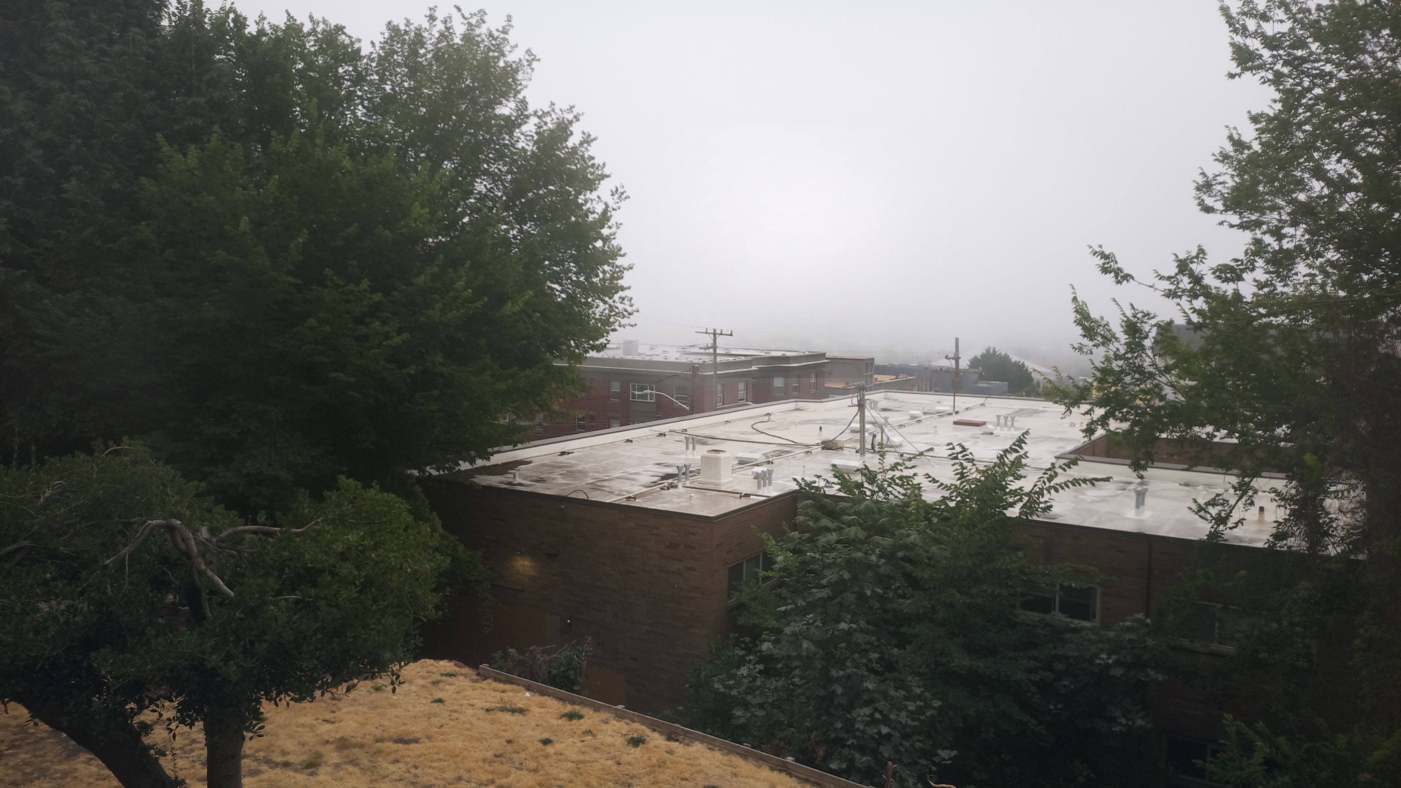 Mt. Rainier from Seattle — Friday, August 14