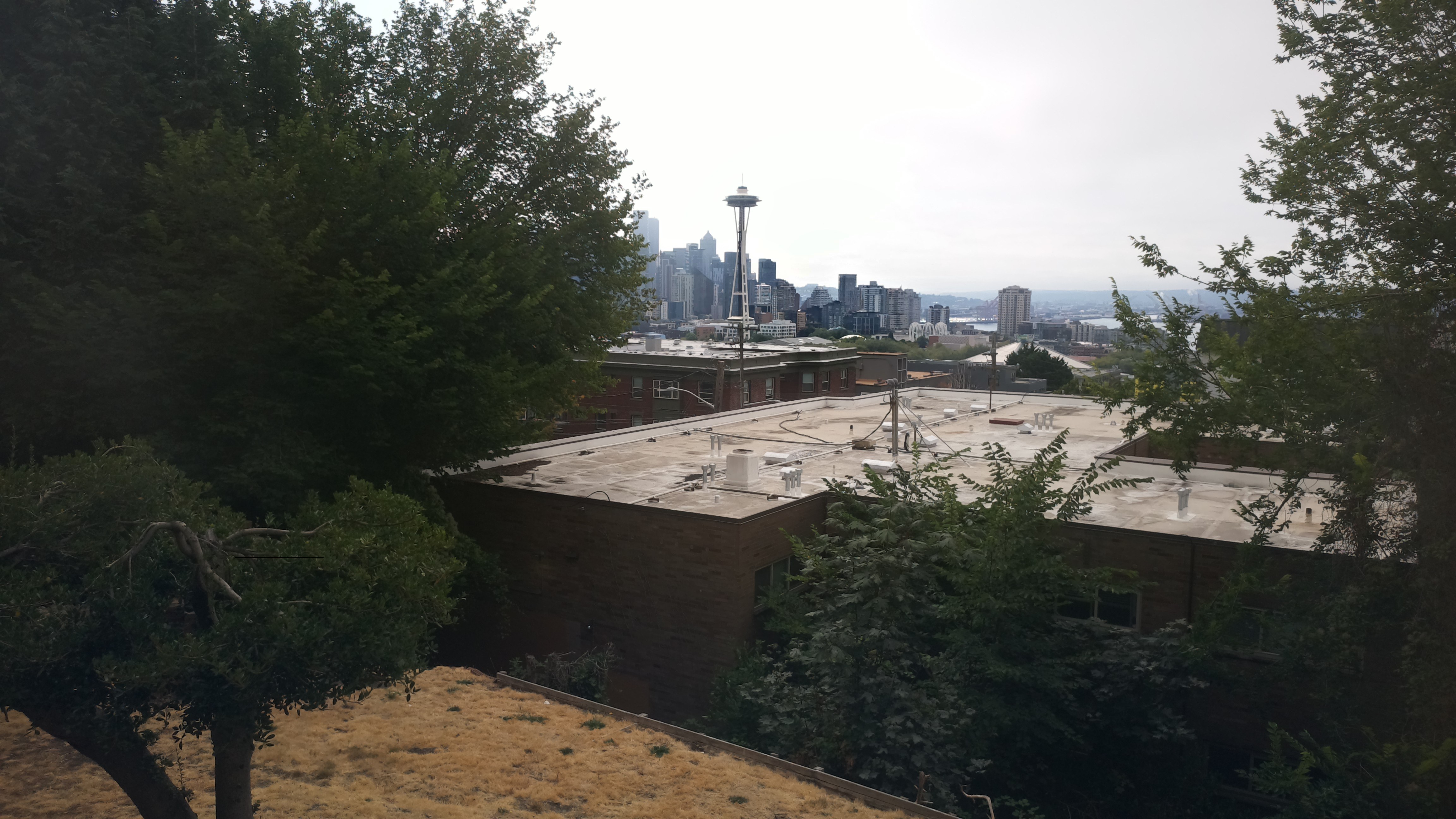 Mt. Rainier from Seattle — Friday, August 14