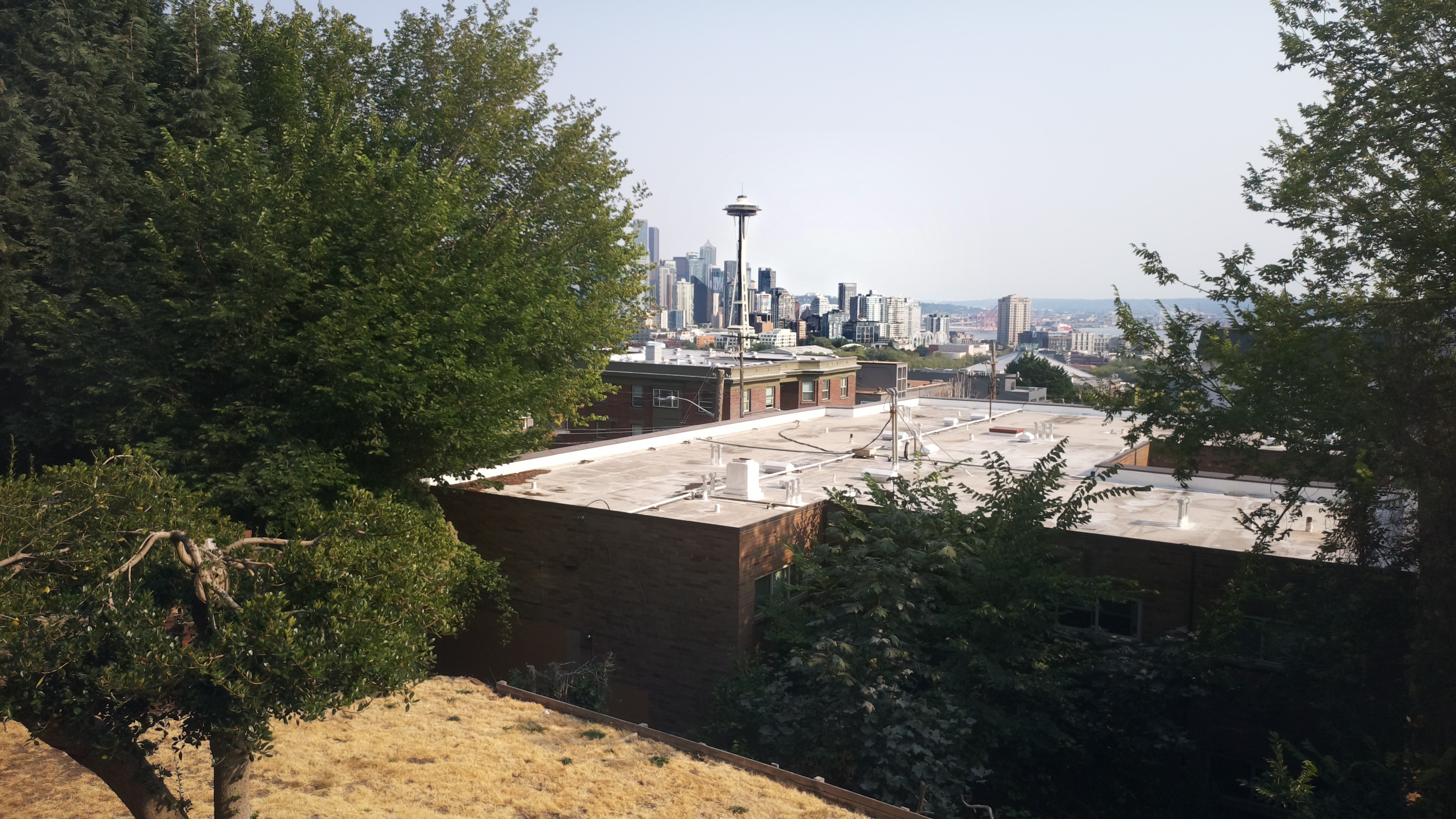 Mt. Rainier from Seattle — Friday, August 14