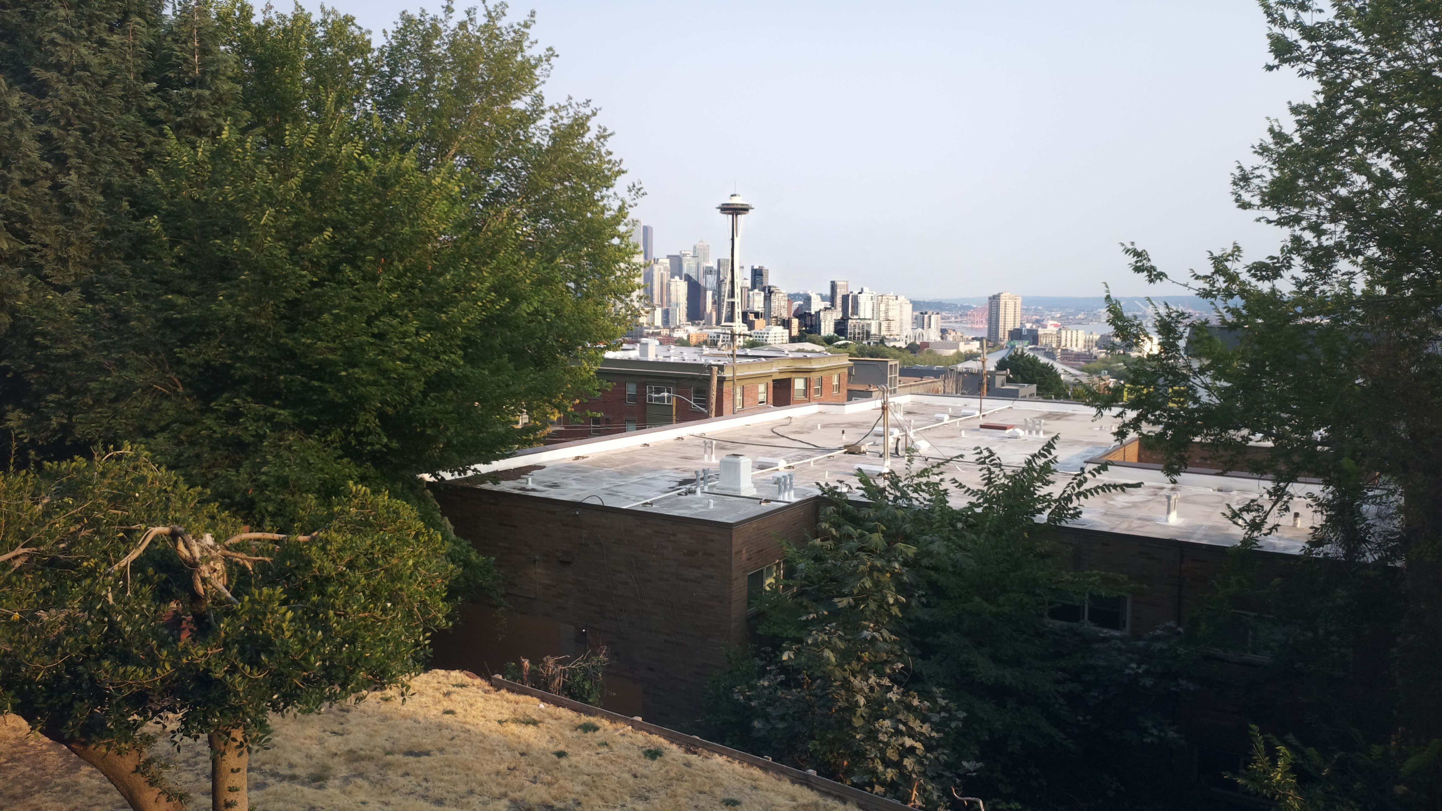 Mt. Rainier from Seattle — Friday, August 14