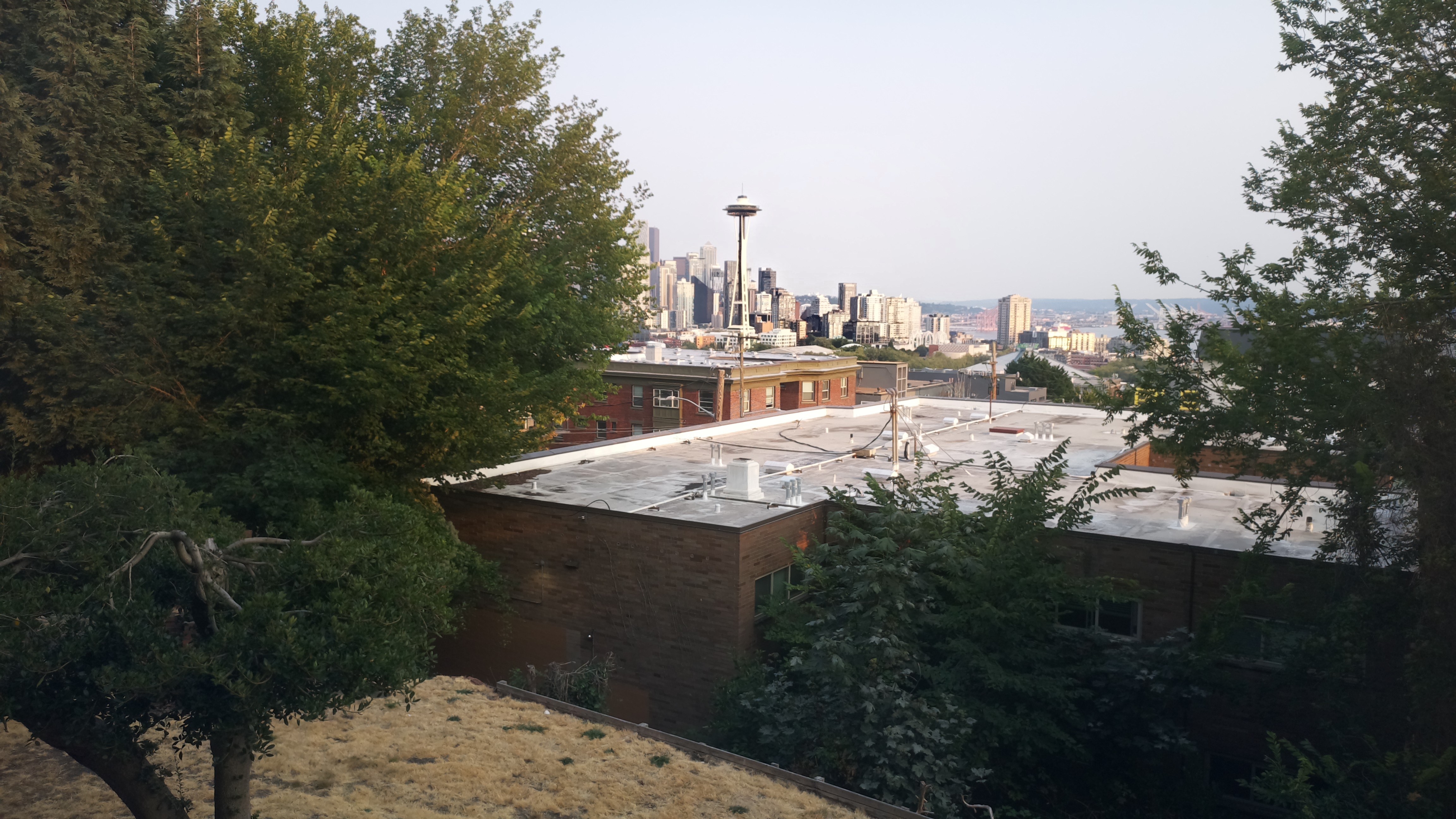 Mt. Rainier from Seattle — Friday, August 14