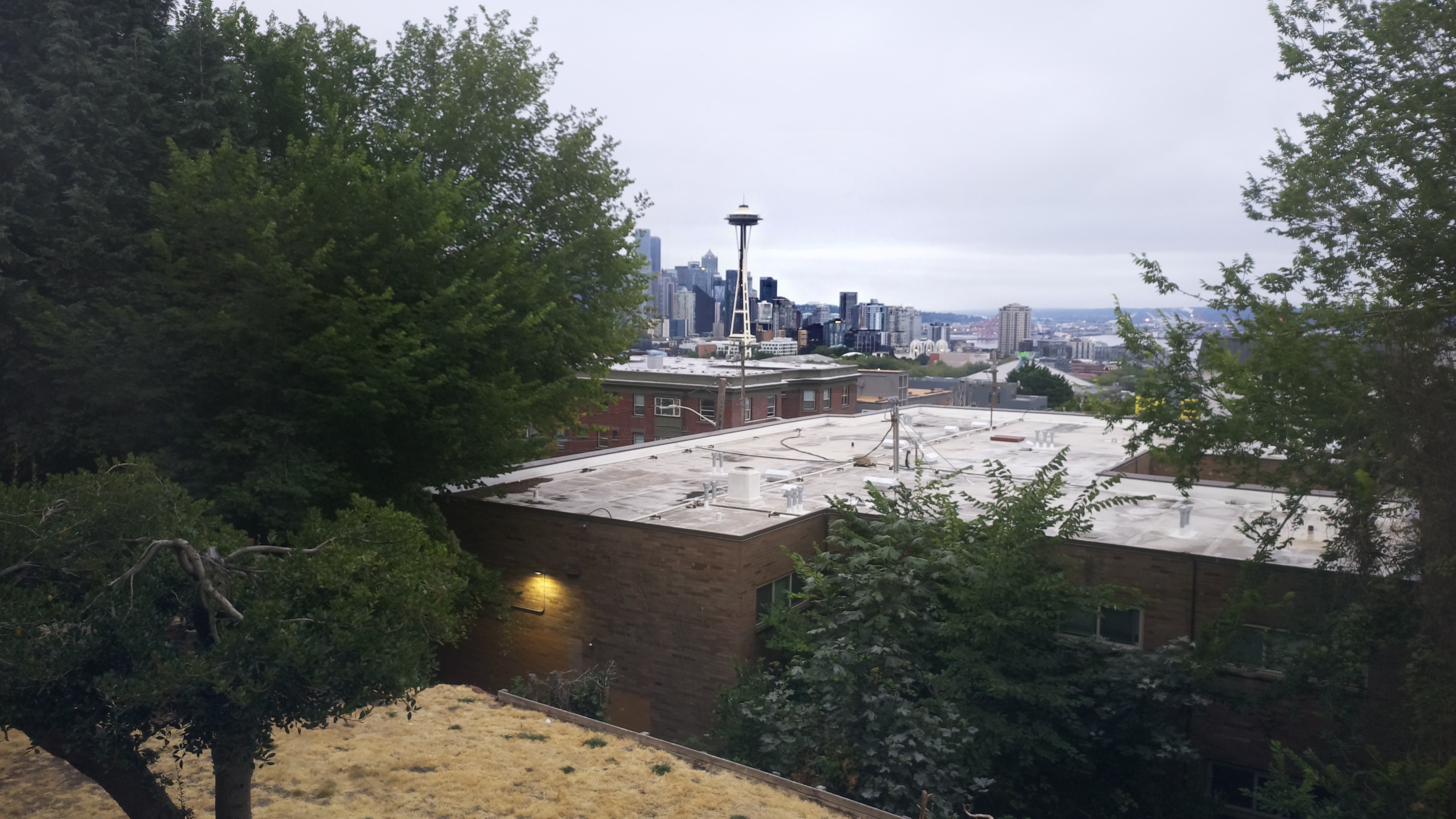 Mt. Rainier from Seattle — Saturday, August 15
