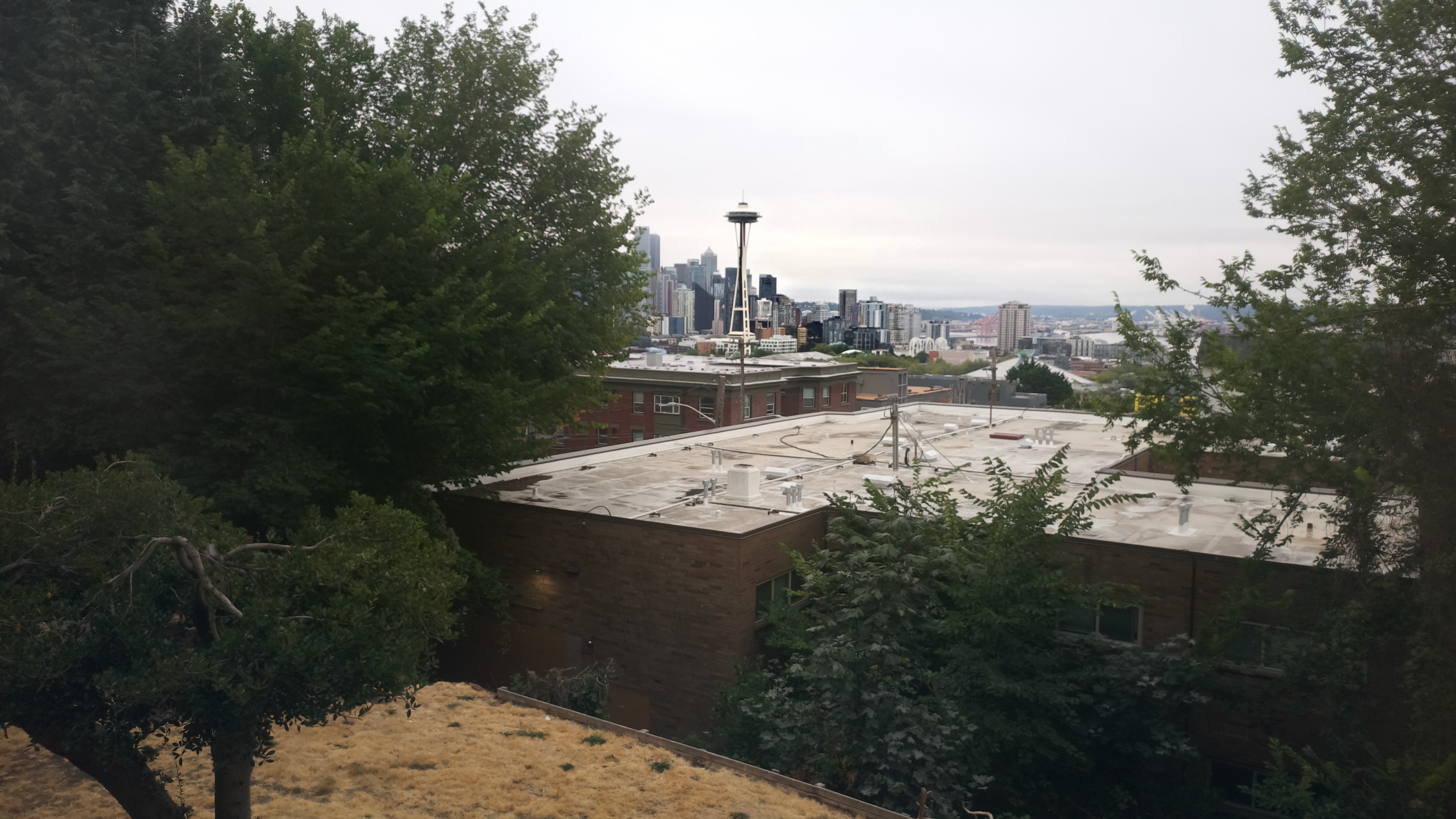 Mt. Rainier from Seattle — Saturday, August 15