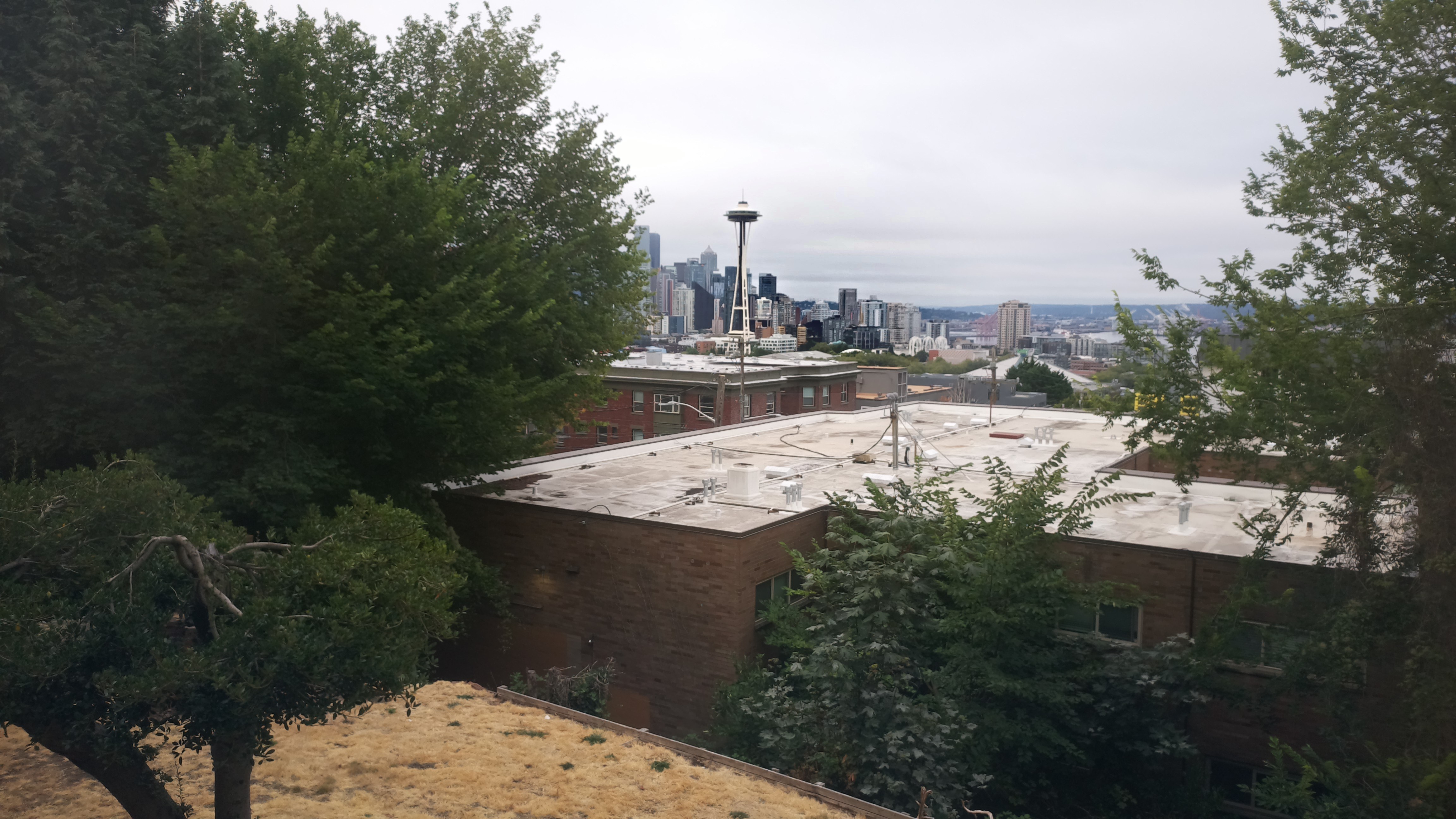 Mt. Rainier from Seattle — Saturday, August 15