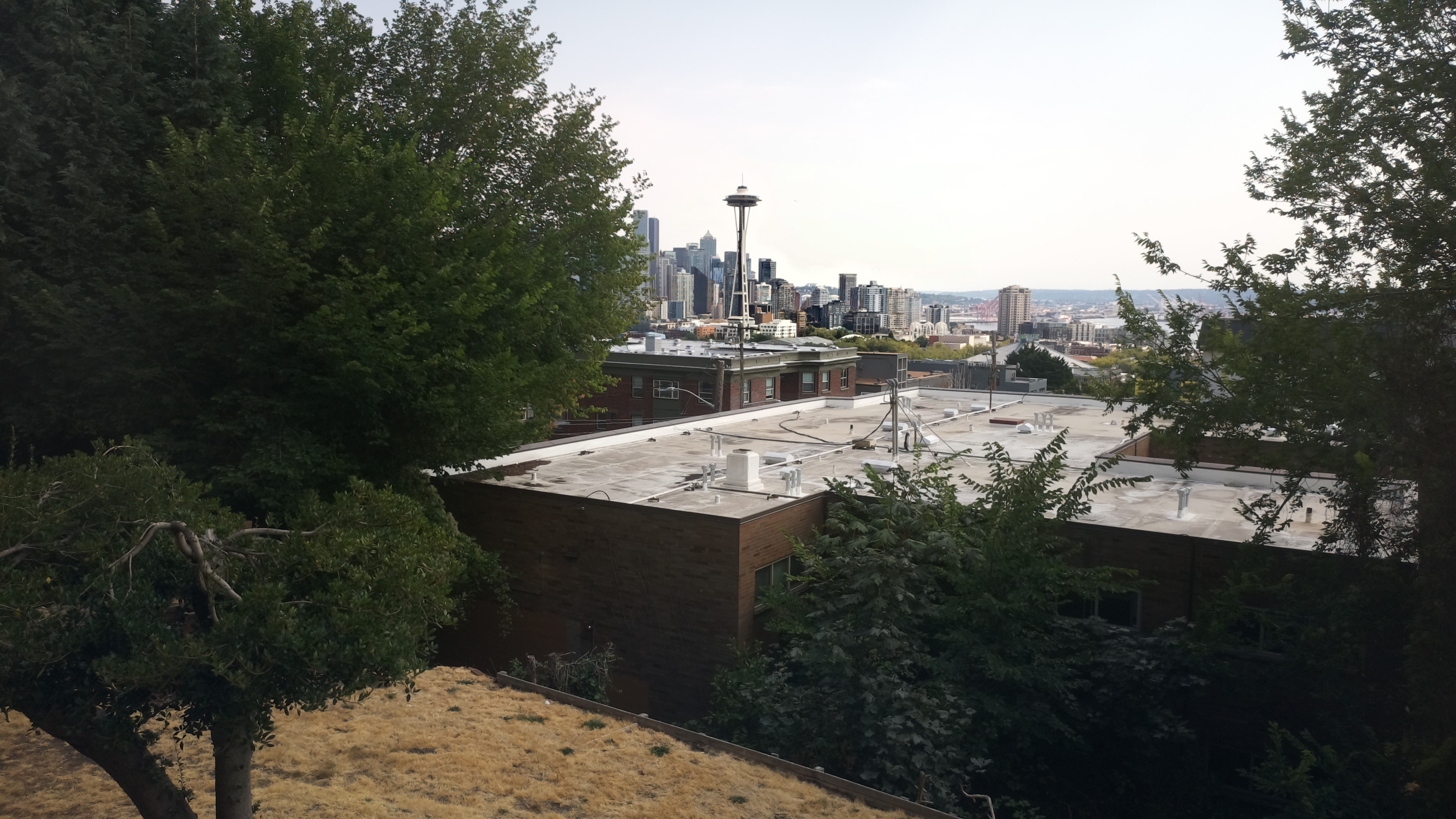 Mt. Rainier from Seattle — Saturday, August 15