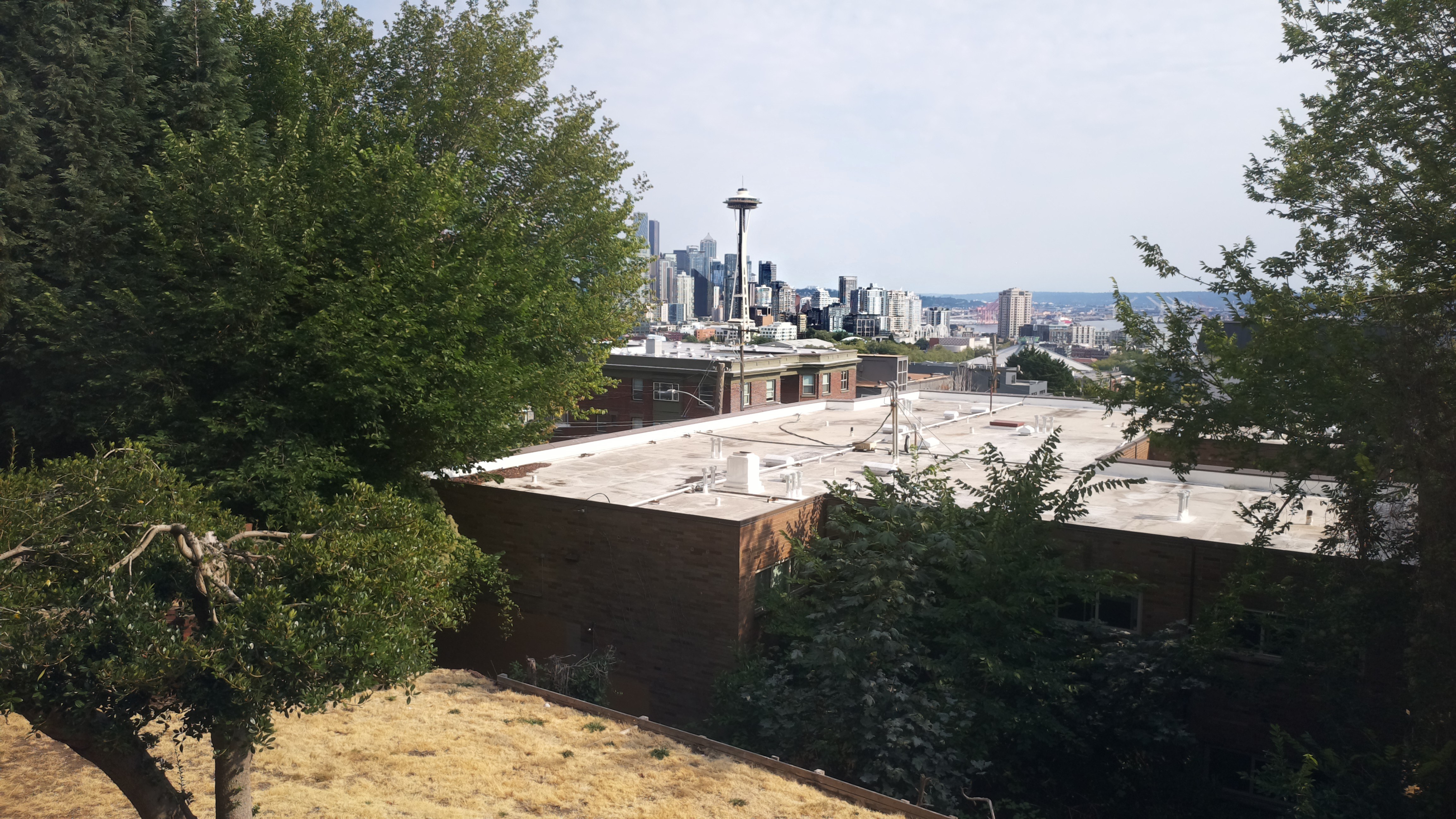 Mt. Rainier from Seattle — Saturday, August 15