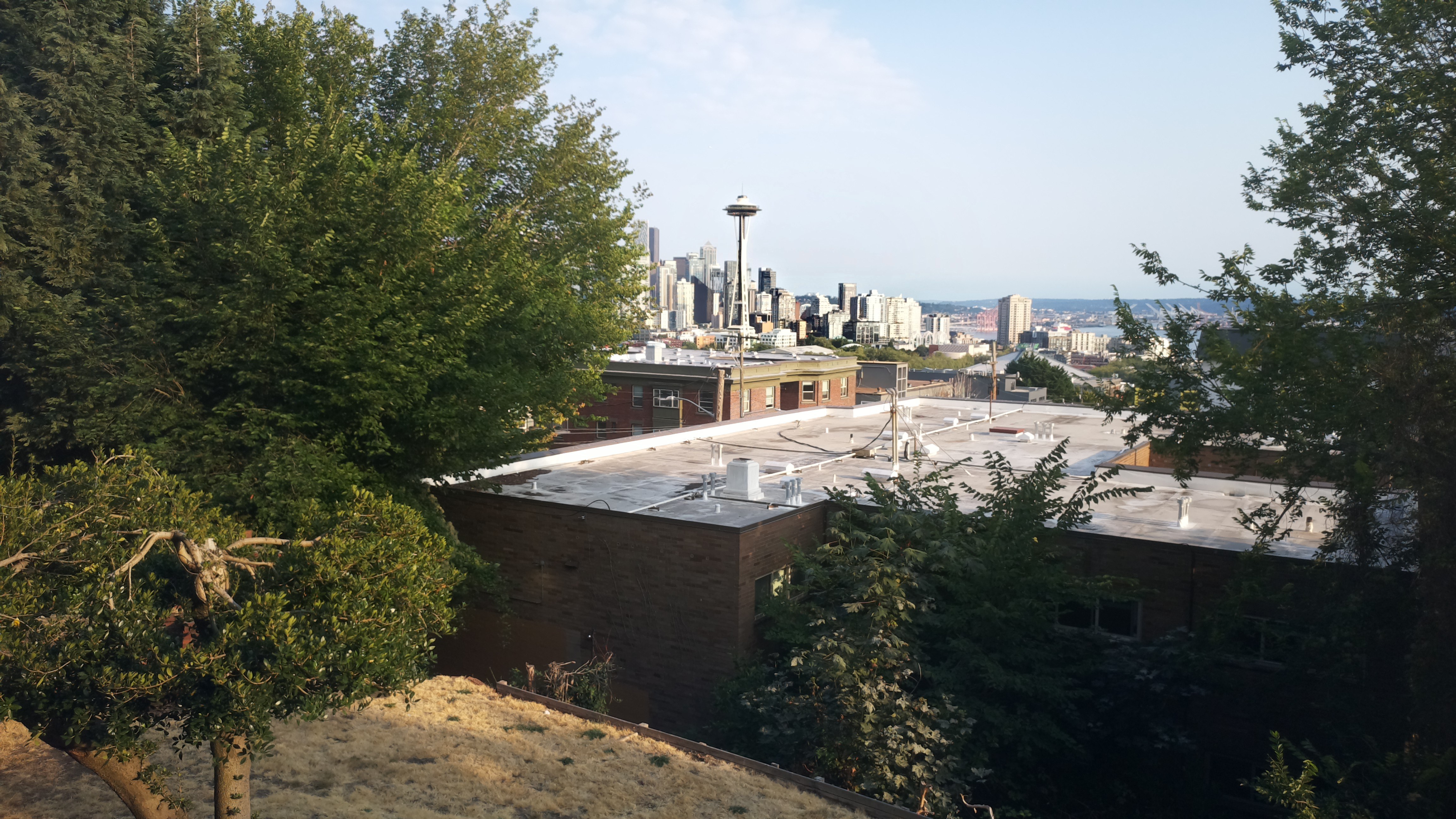 Mt. Rainier from Seattle — Saturday, August 15