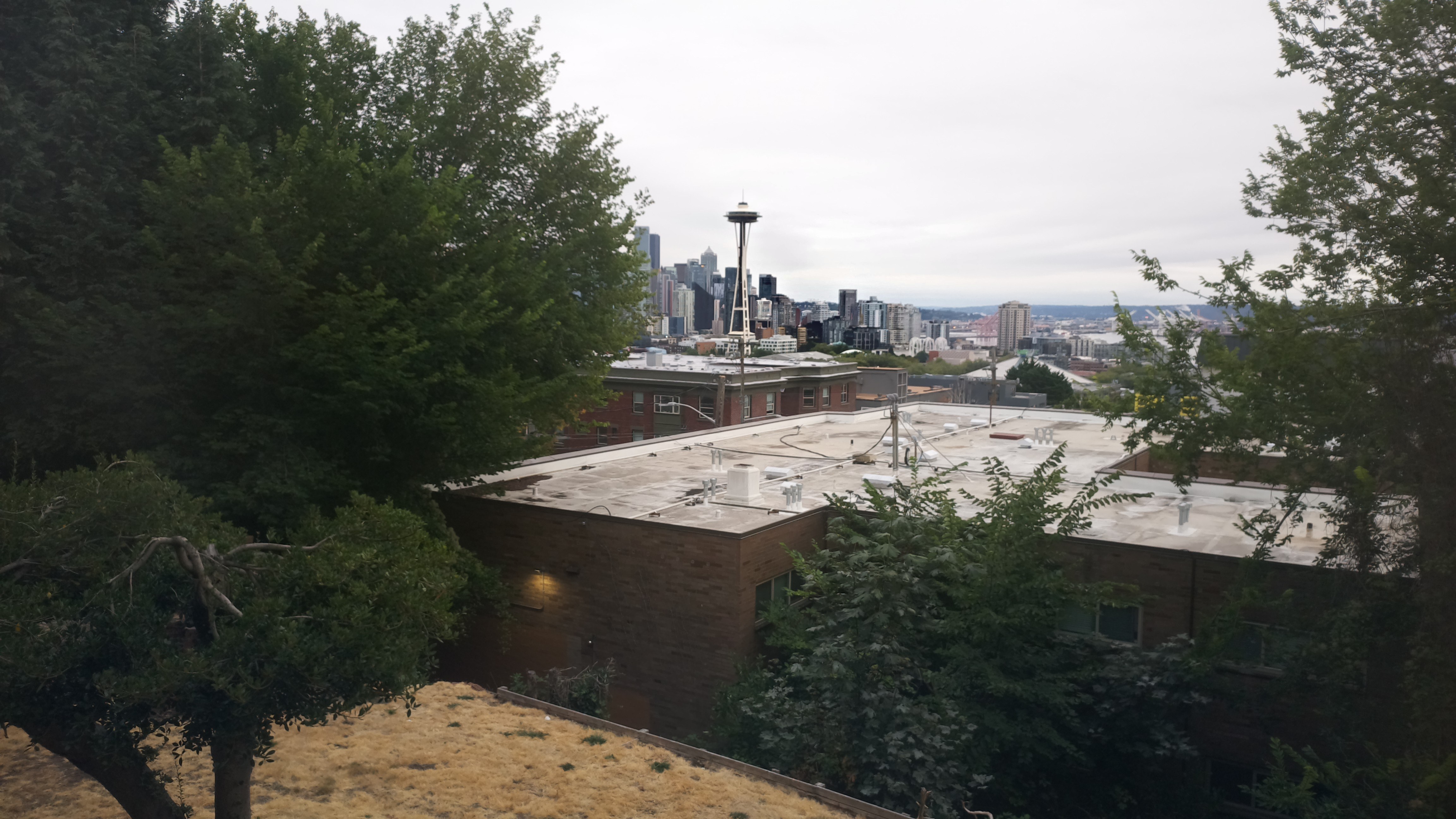 Mt. Rainier from Seattle — Sunday, August 16