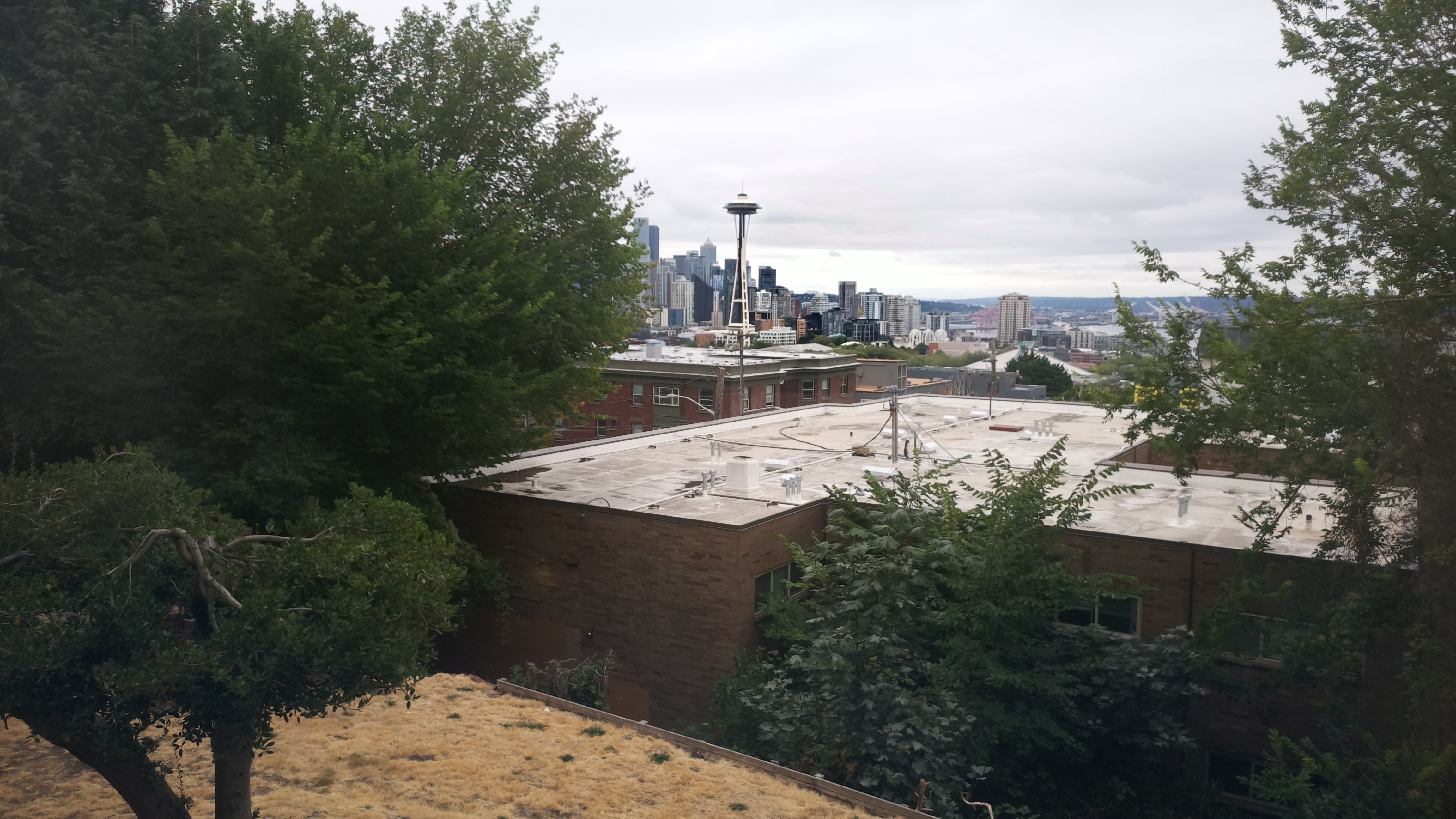 Mt. Rainier from Seattle — Sunday, August 16