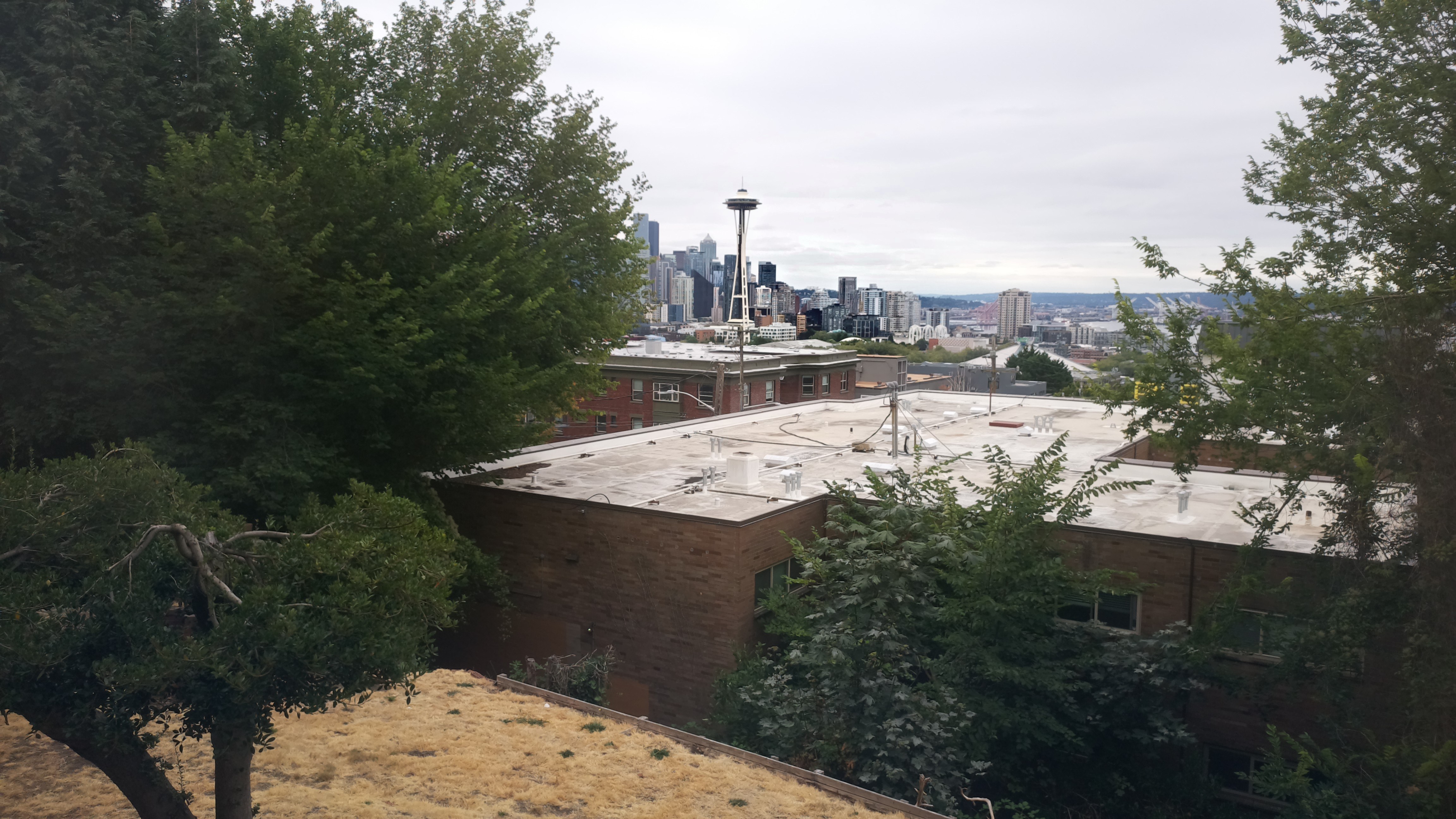 Mt. Rainier from Seattle — Sunday, August 16
