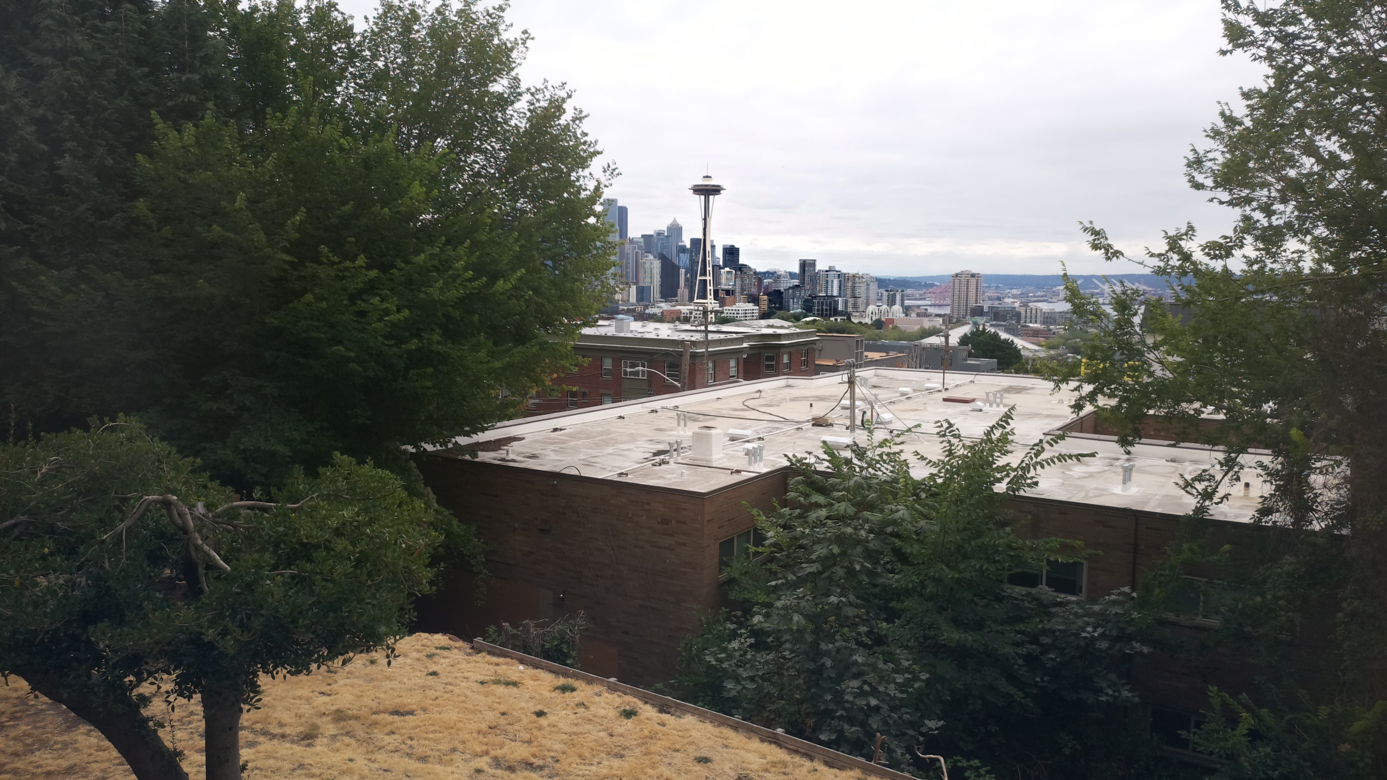 Mt. Rainier from Seattle — Sunday, August 16