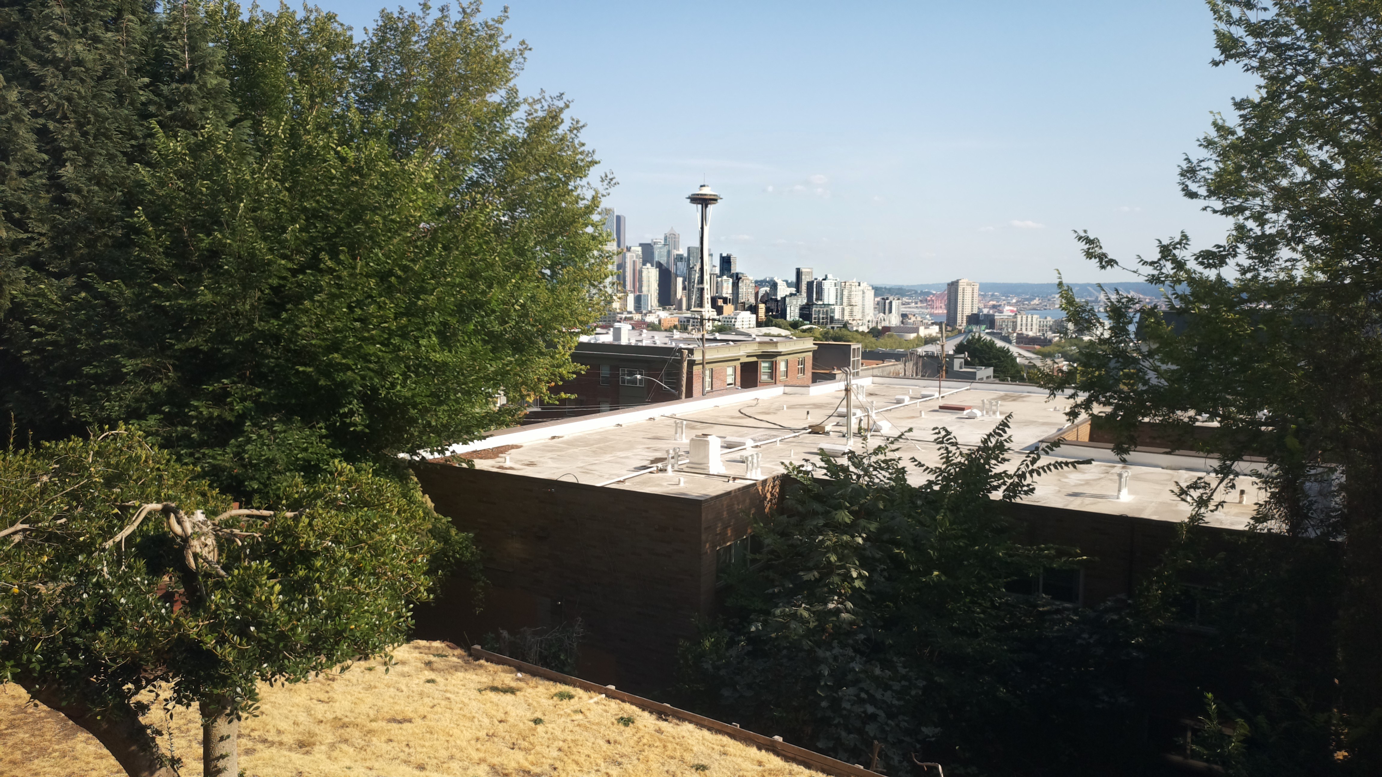 Mt. Rainier from Seattle — Sunday, August 16