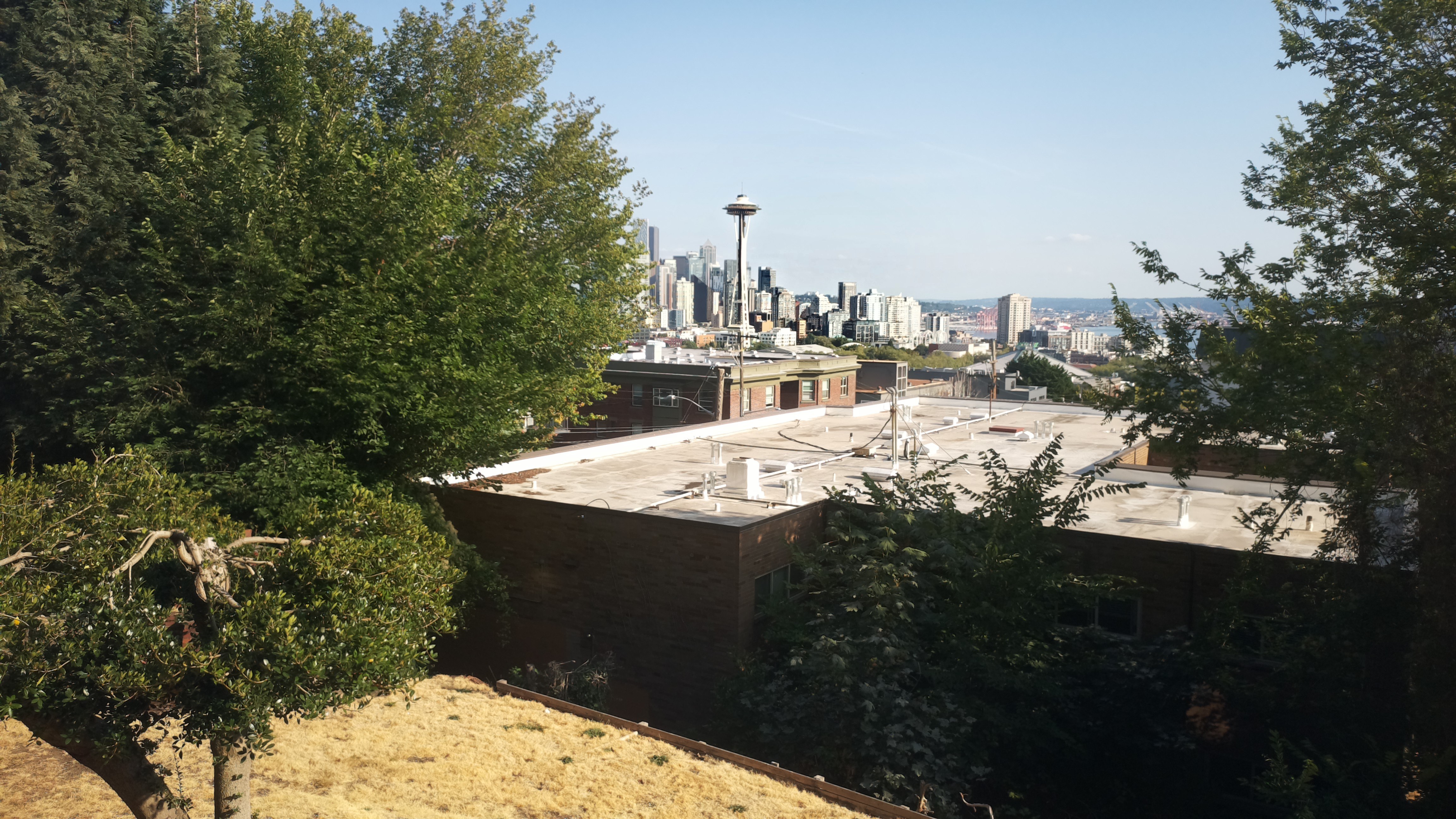 Mt. Rainier from Seattle — Sunday, August 16