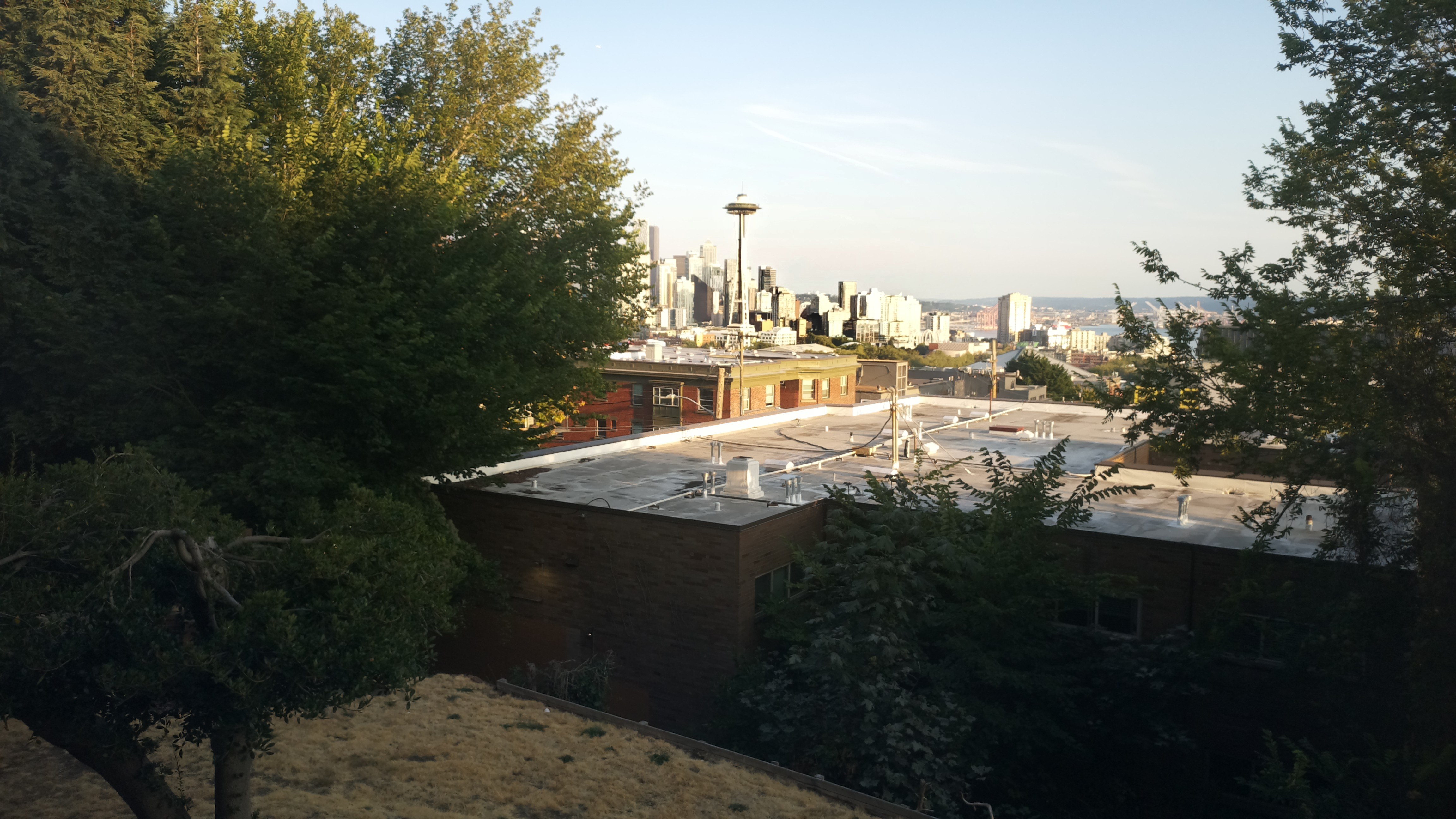 Mt. Rainier from Seattle — Sunday, August 16