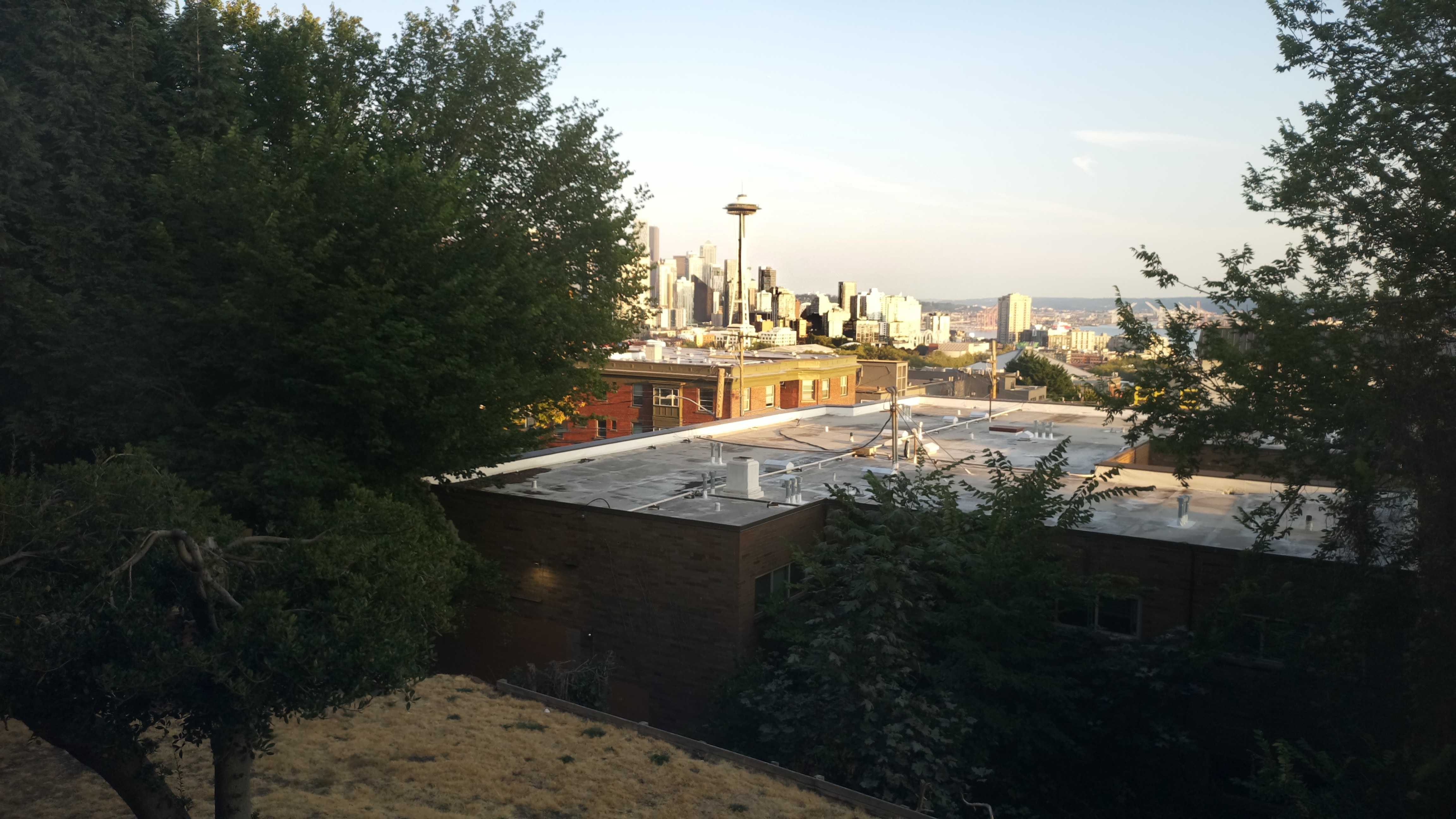 Mt. Rainier from Seattle — Sunday, August 16