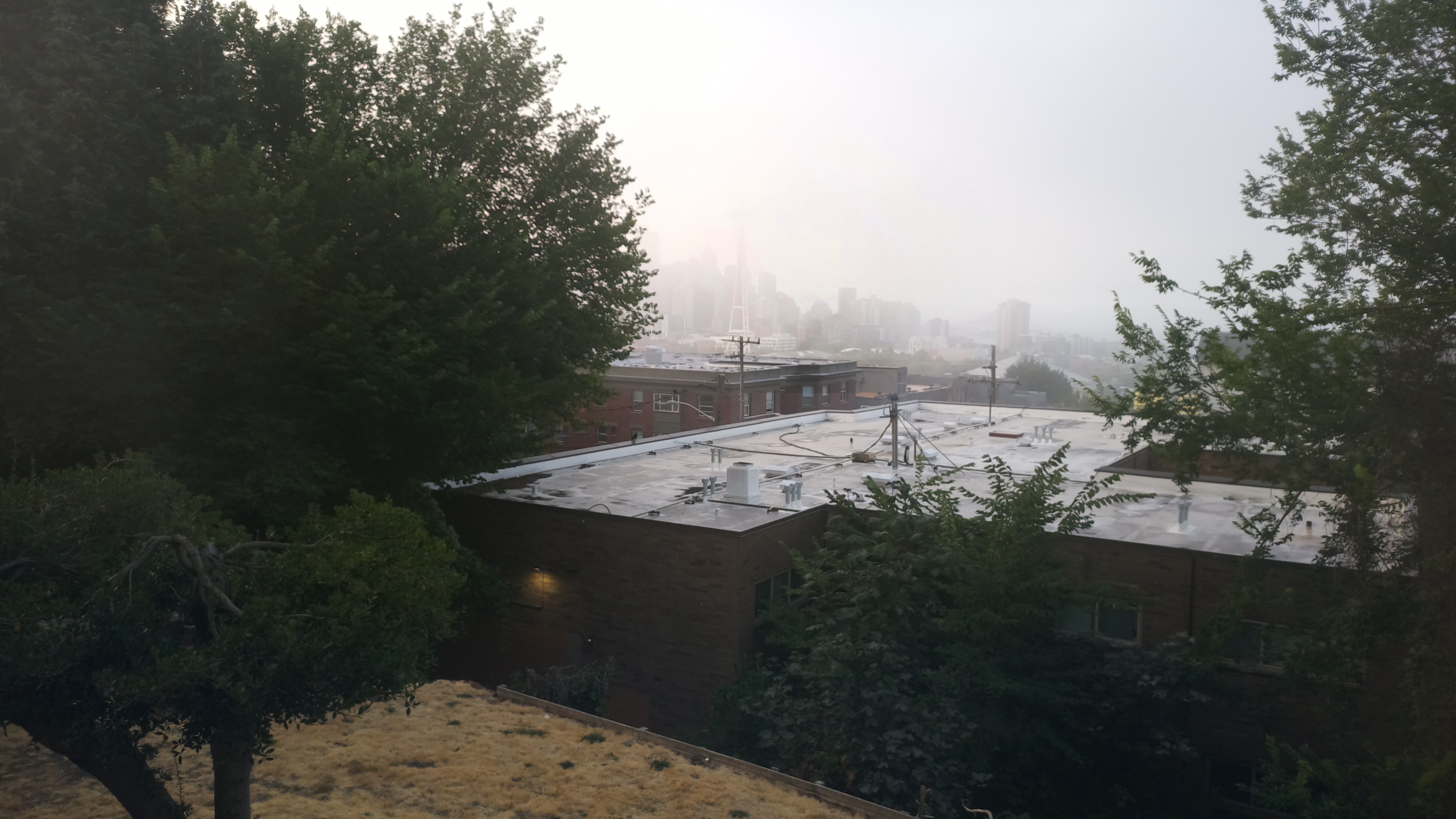 Mt. Rainier from Seattle — Monday, August 17
