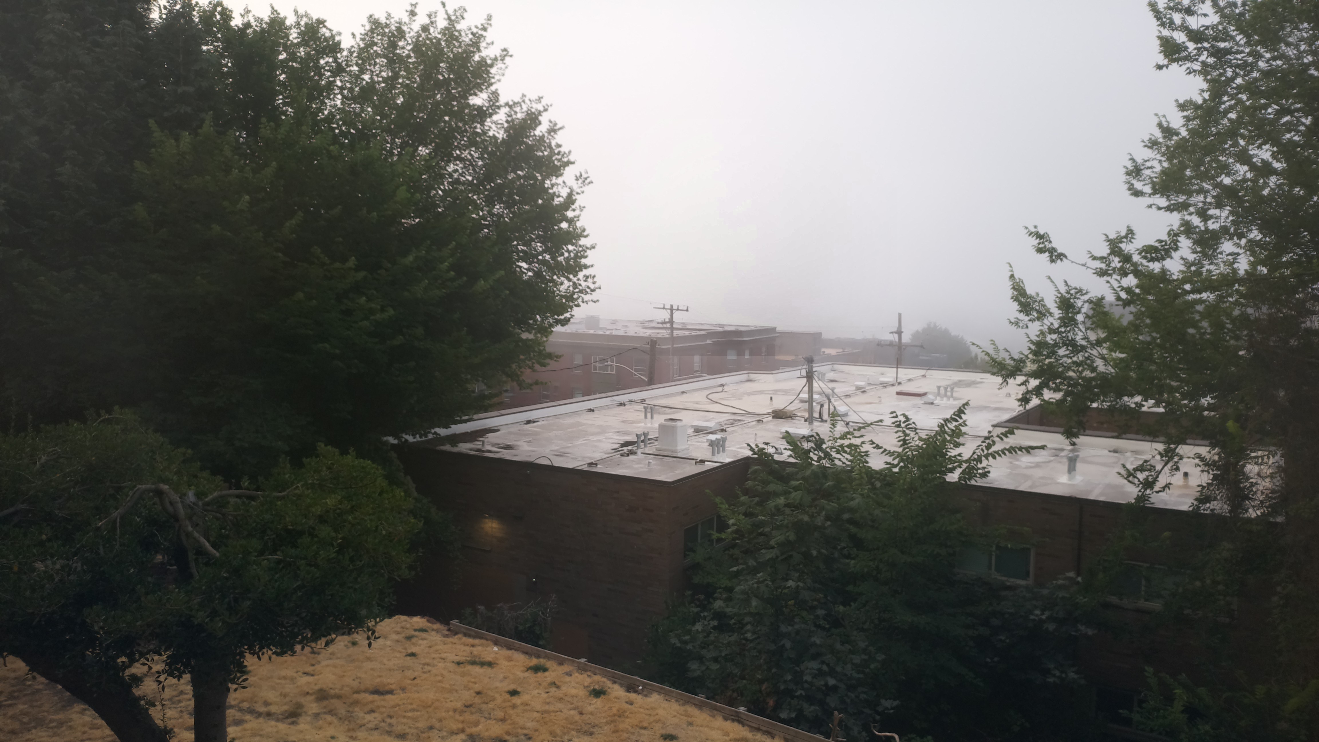 Mt. Rainier from Seattle — Monday, August 17