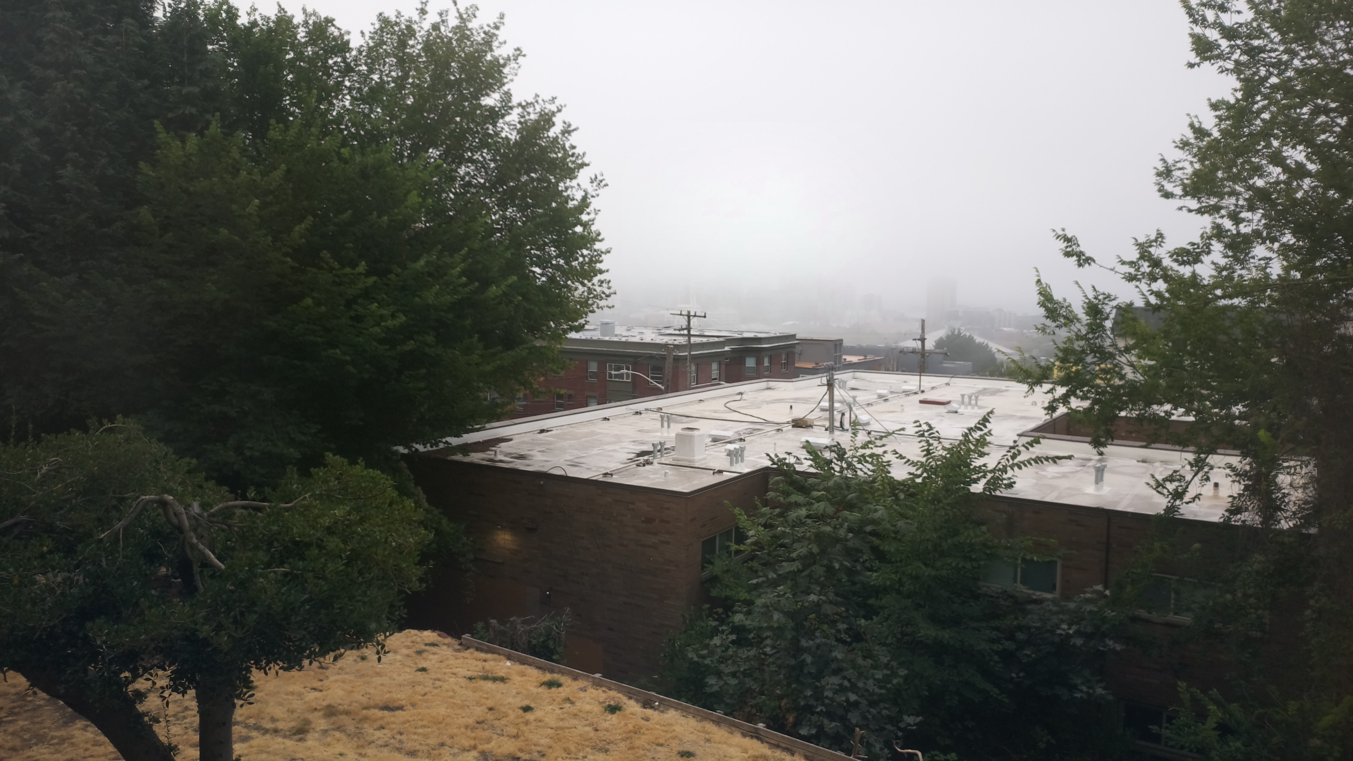 Mt. Rainier from Seattle — Monday, August 17
