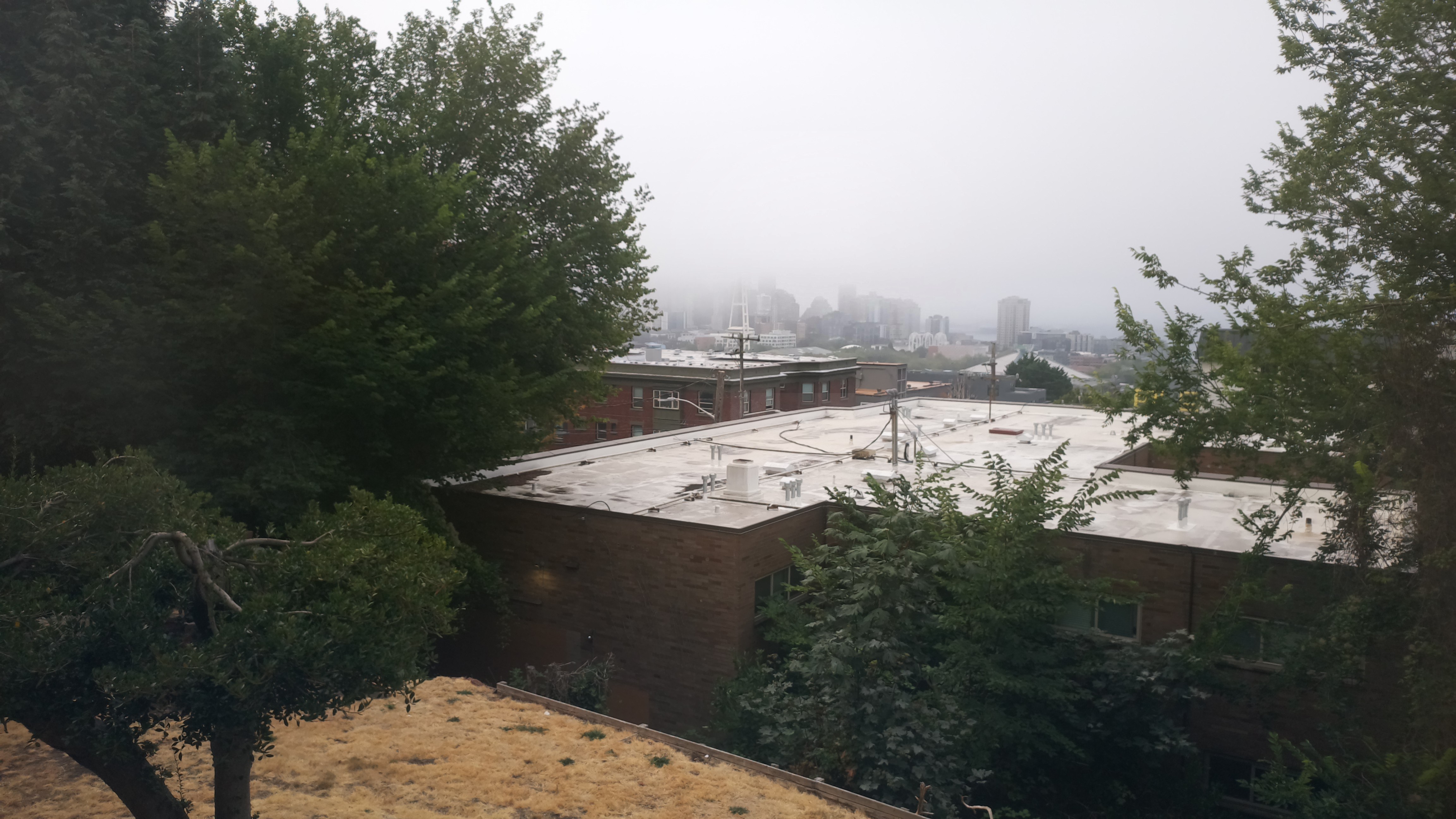 Mt. Rainier from Seattle — Monday, August 17