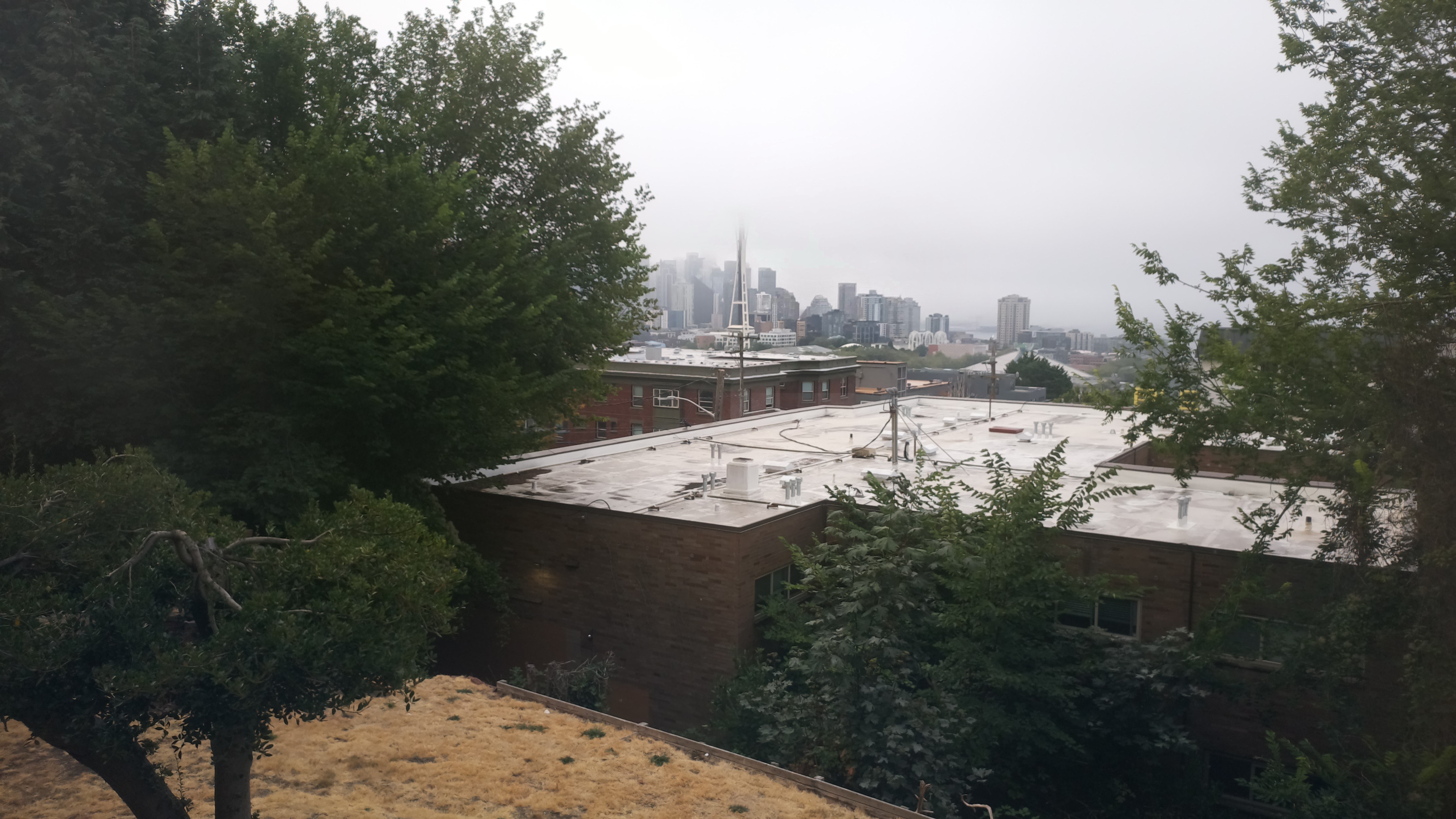 Mt. Rainier from Seattle — Monday, August 17