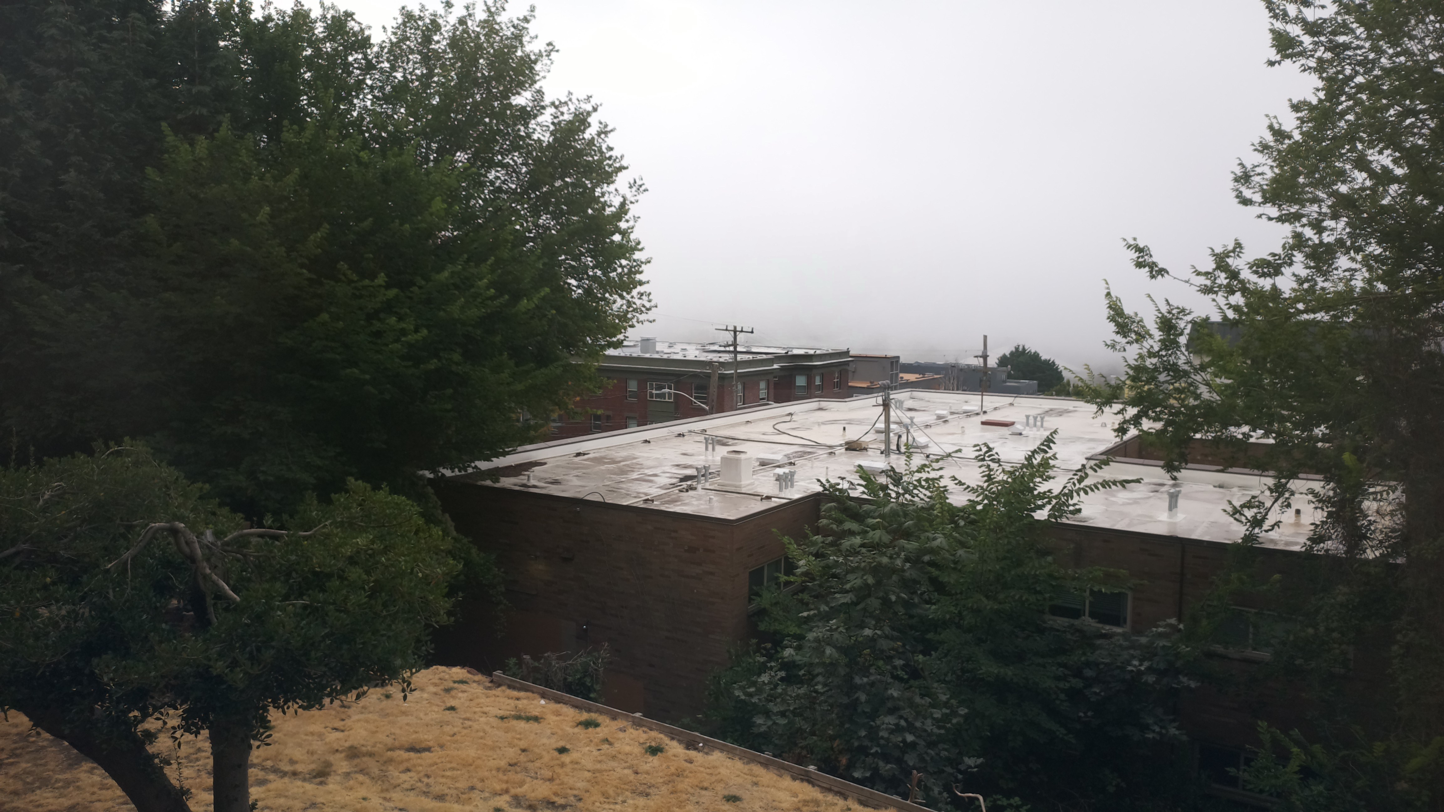 Mt. Rainier from Seattle — Monday, August 17