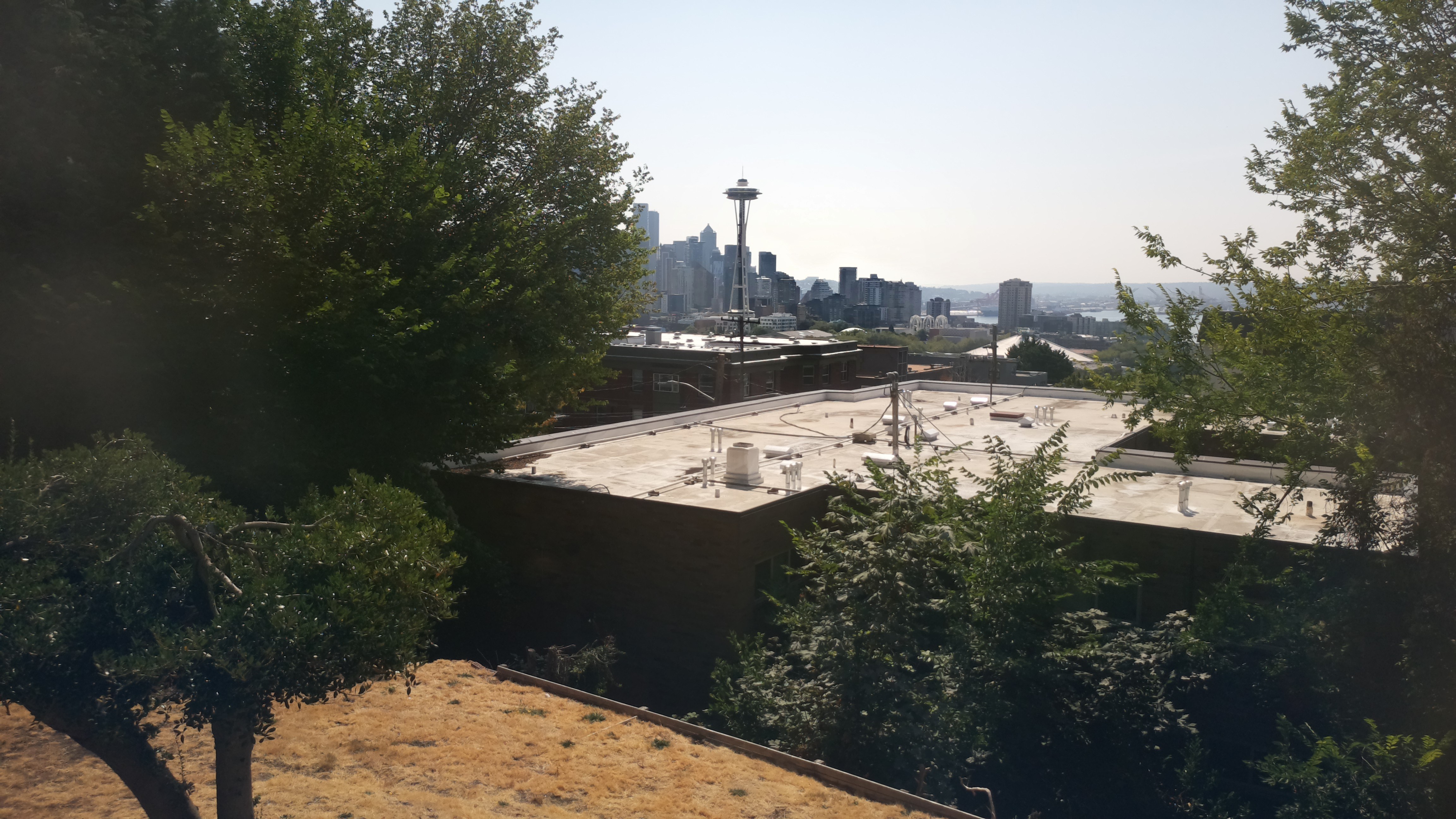 Mt. Rainier from Seattle — Tuesday, August 18