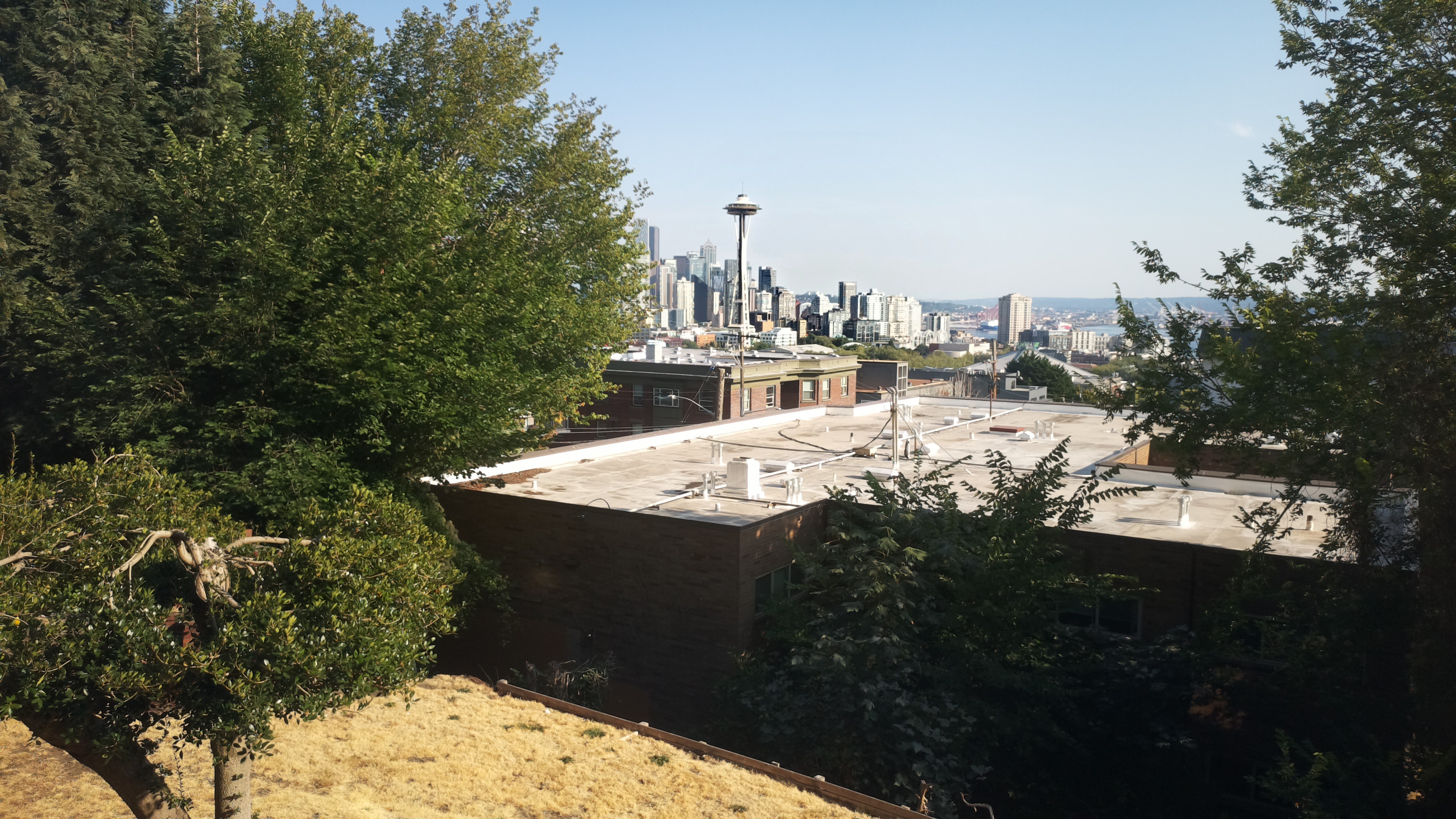 Mt. Rainier from Seattle — Tuesday, August 18