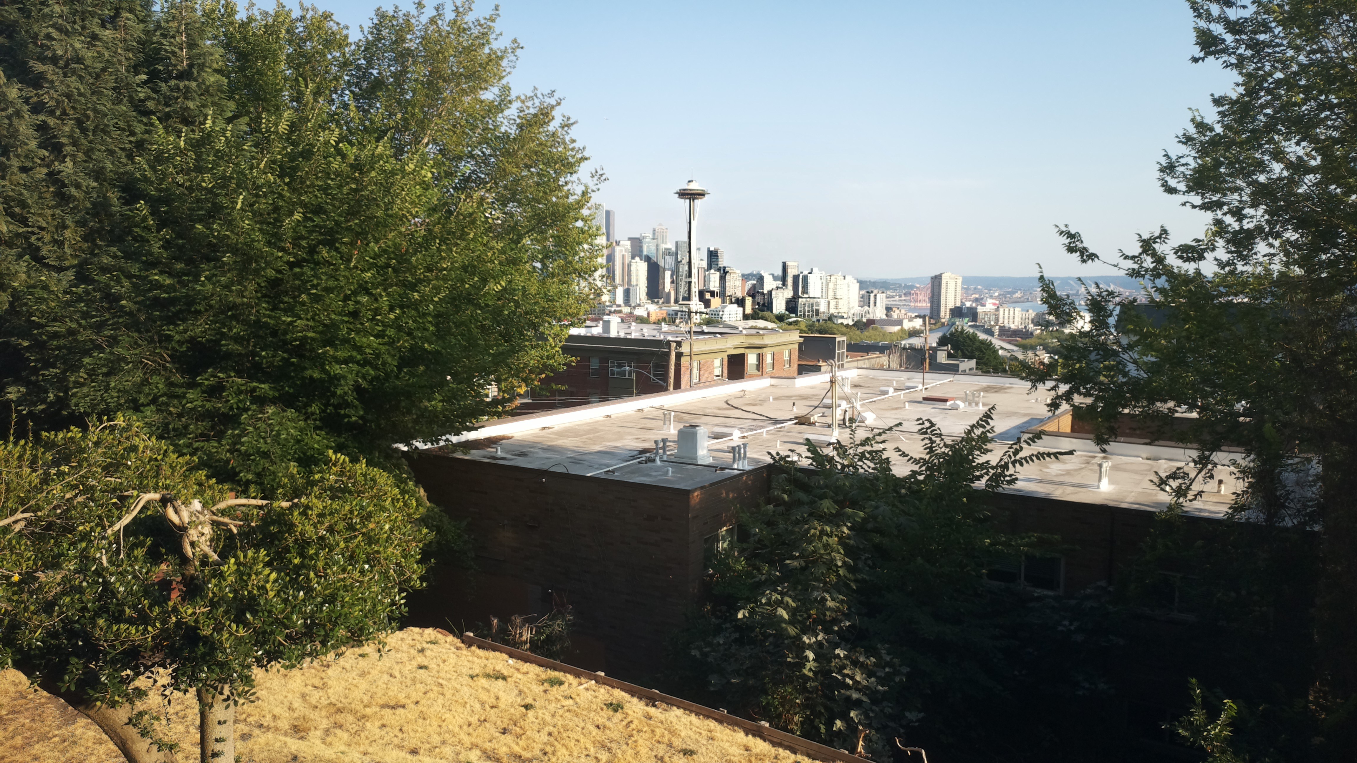 Mt. Rainier from Seattle — Tuesday, August 18
