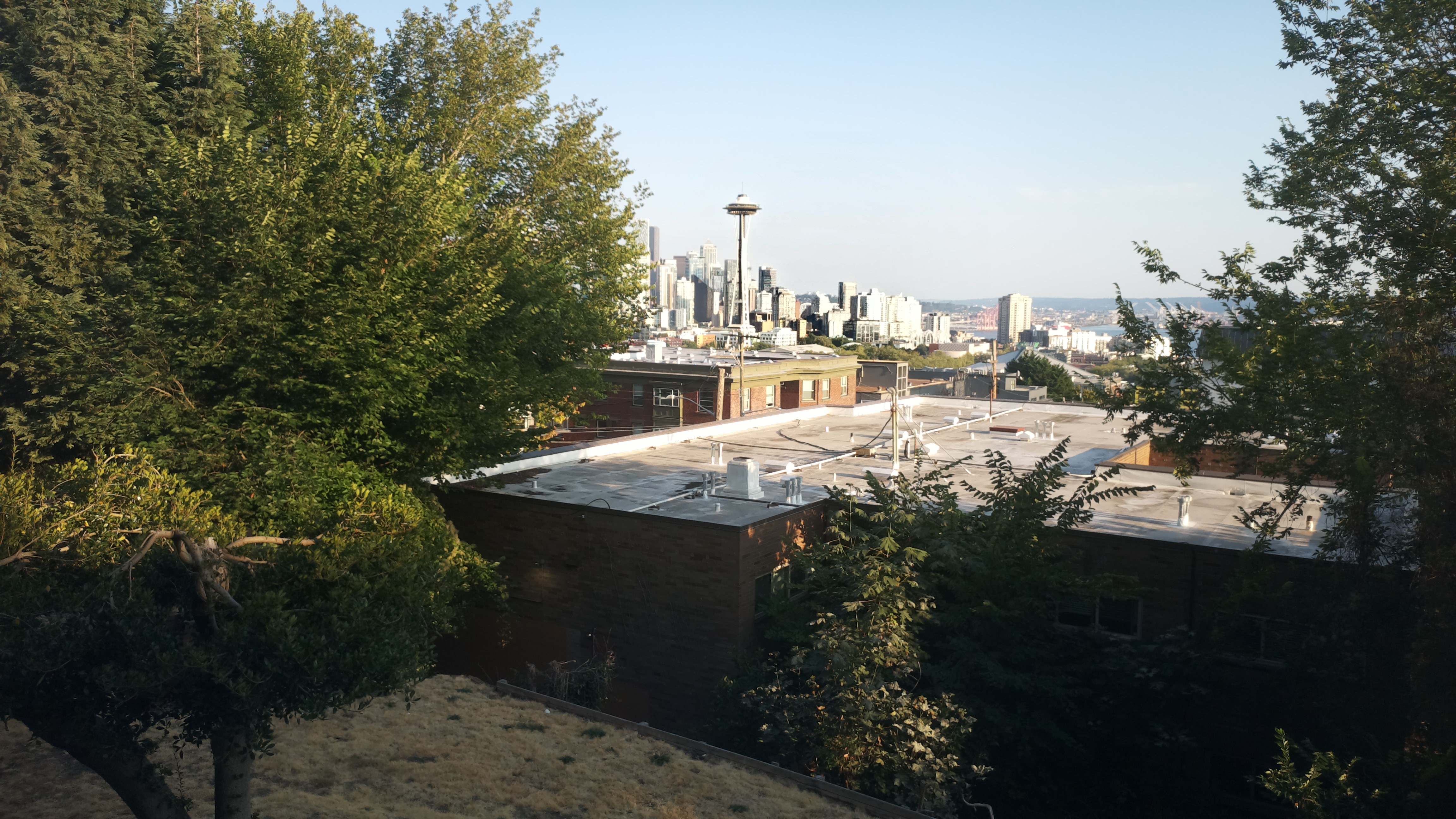 Mt. Rainier from Seattle — Tuesday, August 18