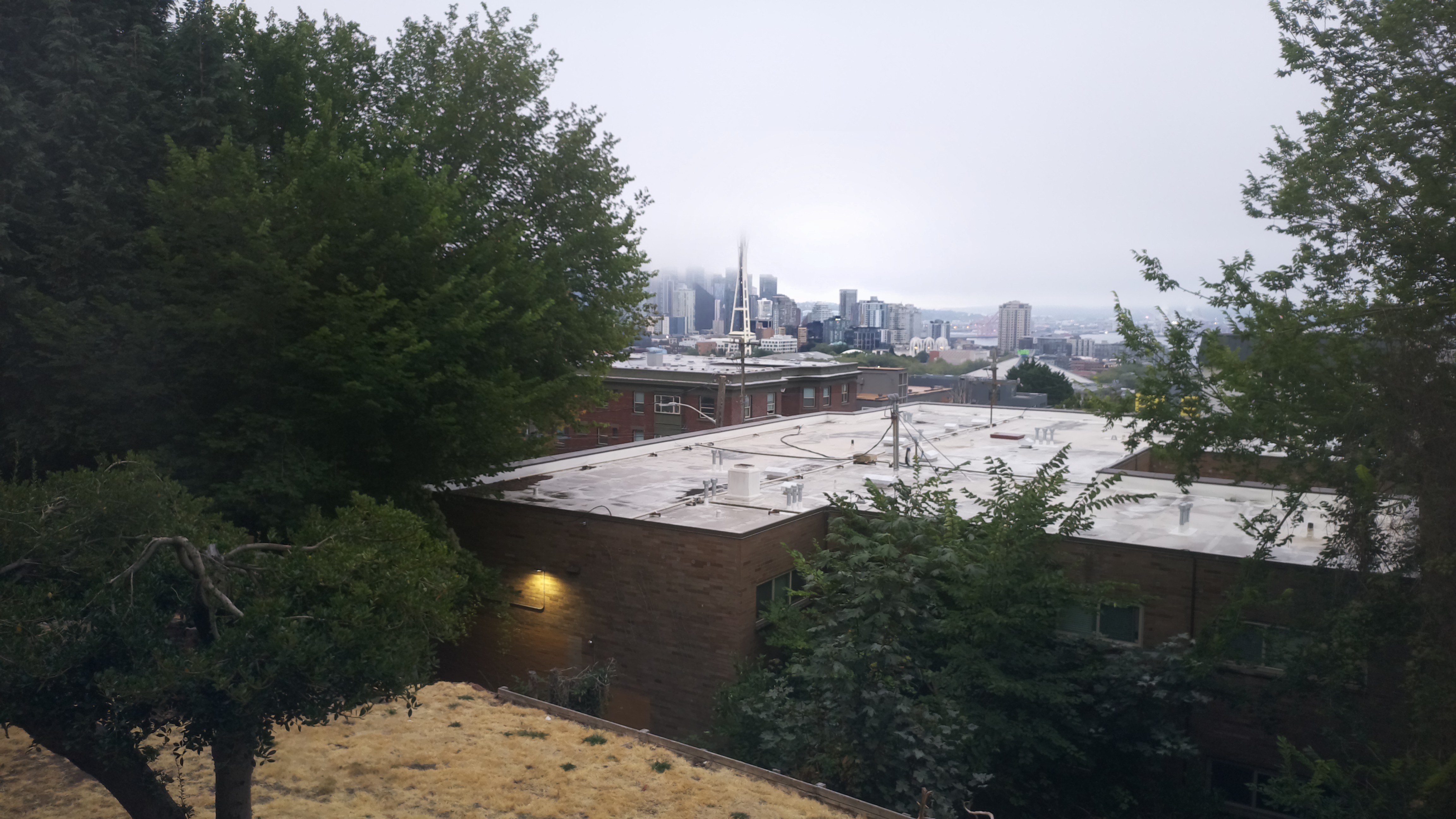 Mt. Rainier from Seattle — Wednesday, August 19