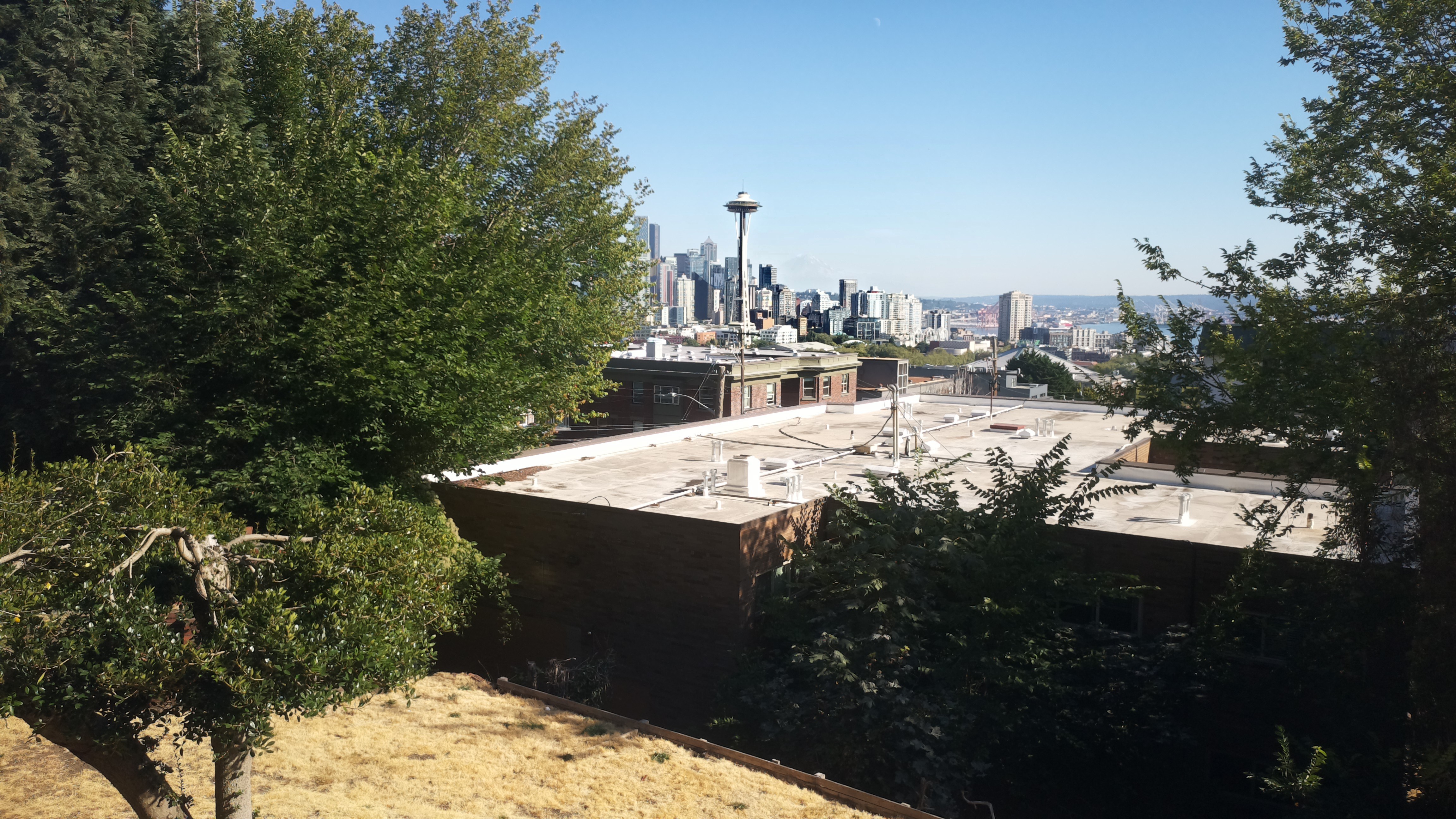 Mt. Rainier from Seattle — Wednesday, August 19