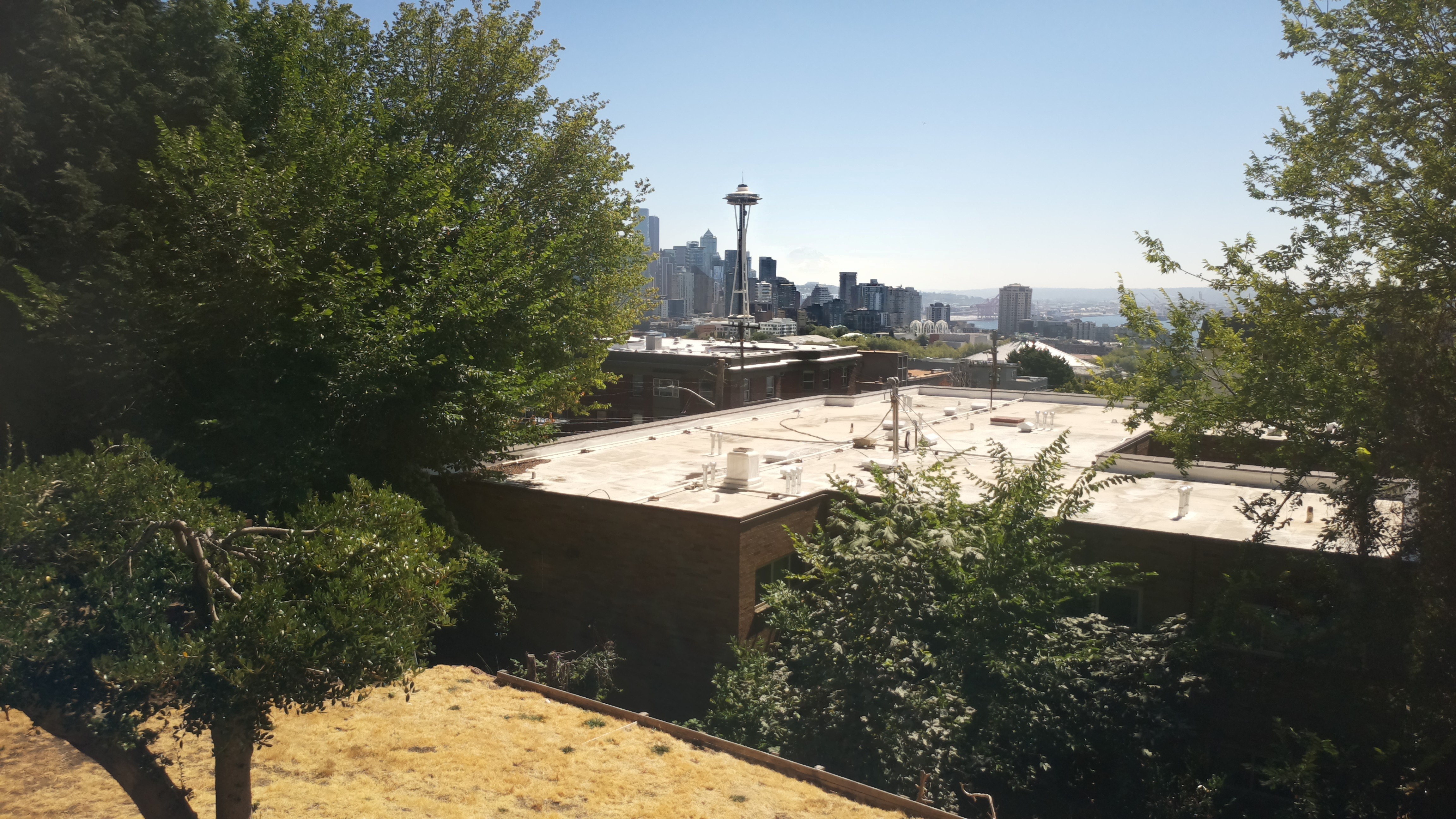 Mt. Rainier from Seattle — Thursday, August 20
