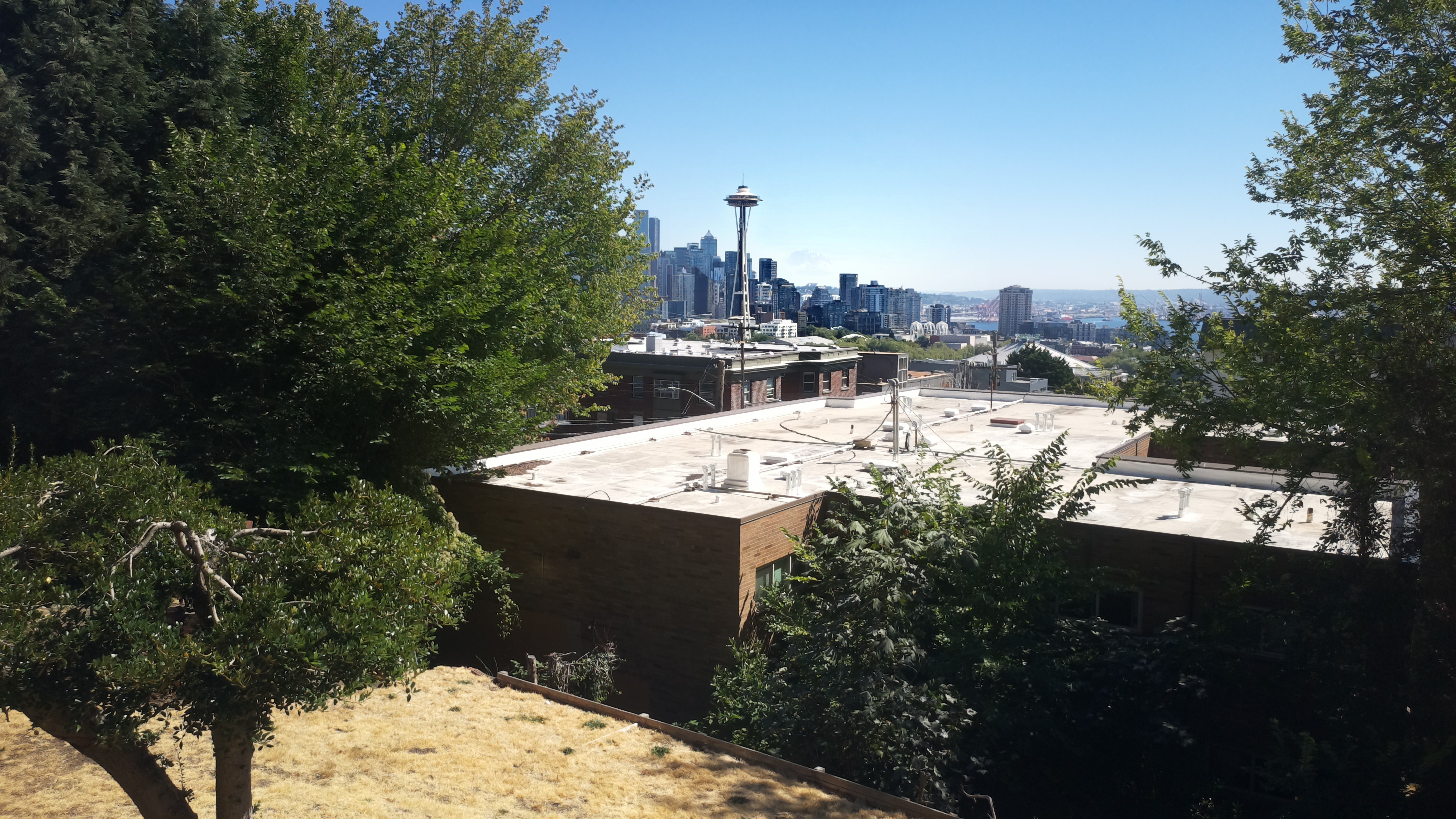 Mt. Rainier from Seattle — Thursday, August 20