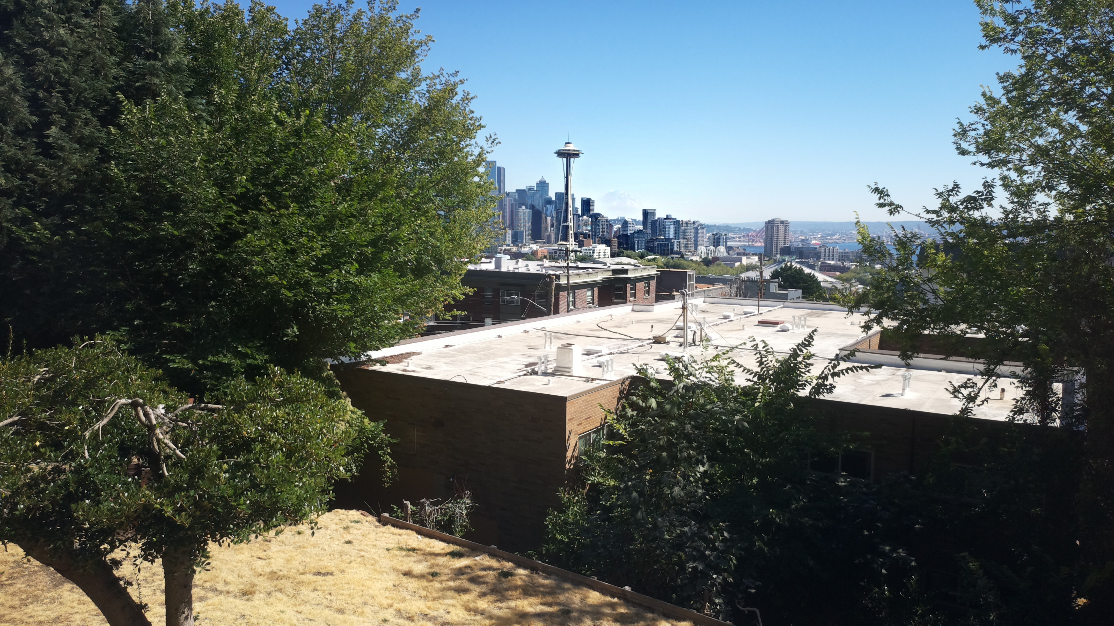 Mt. Rainier from Seattle — Thursday, August 20