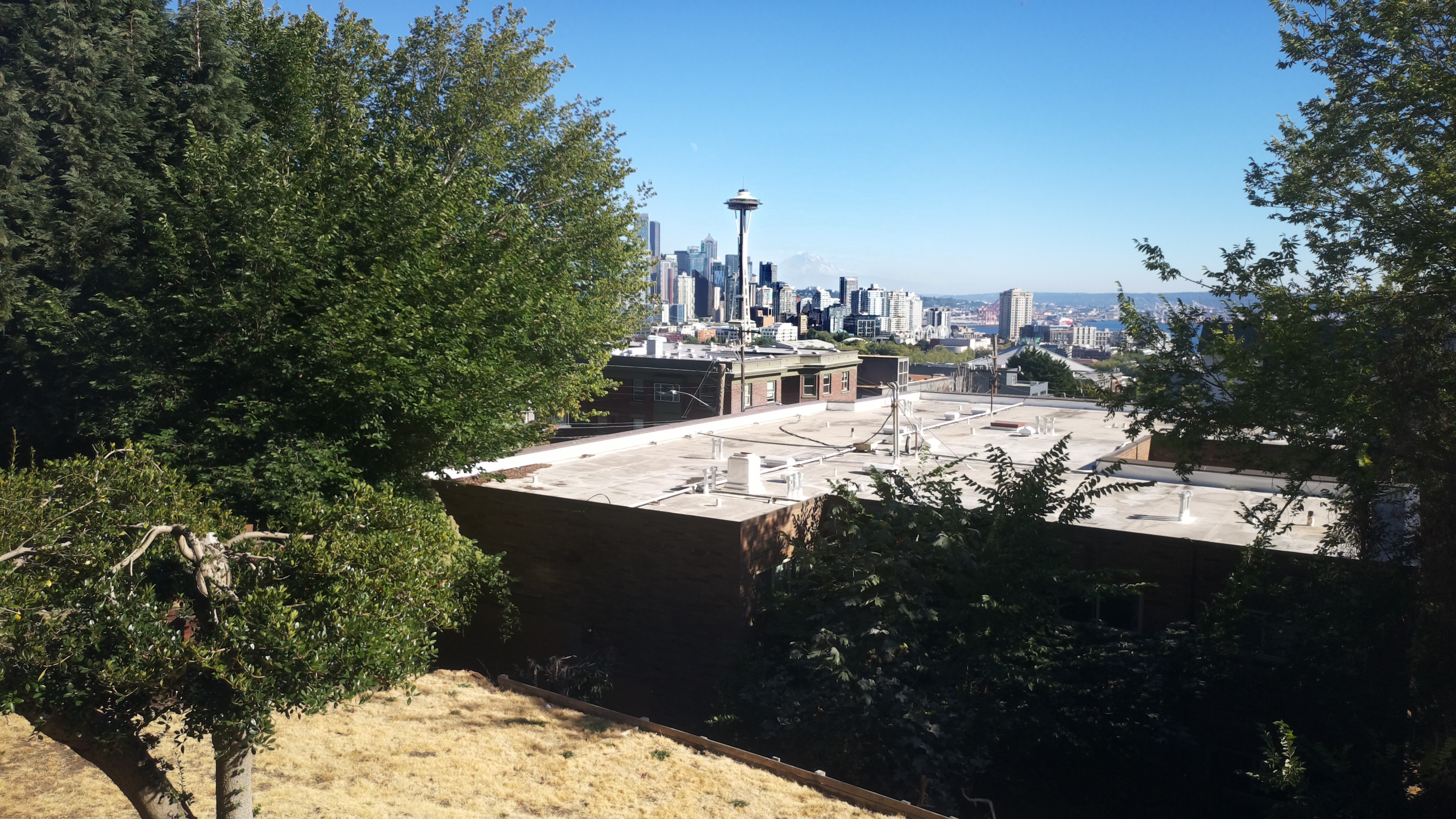 Mt. Rainier from Seattle — Thursday, August 20
