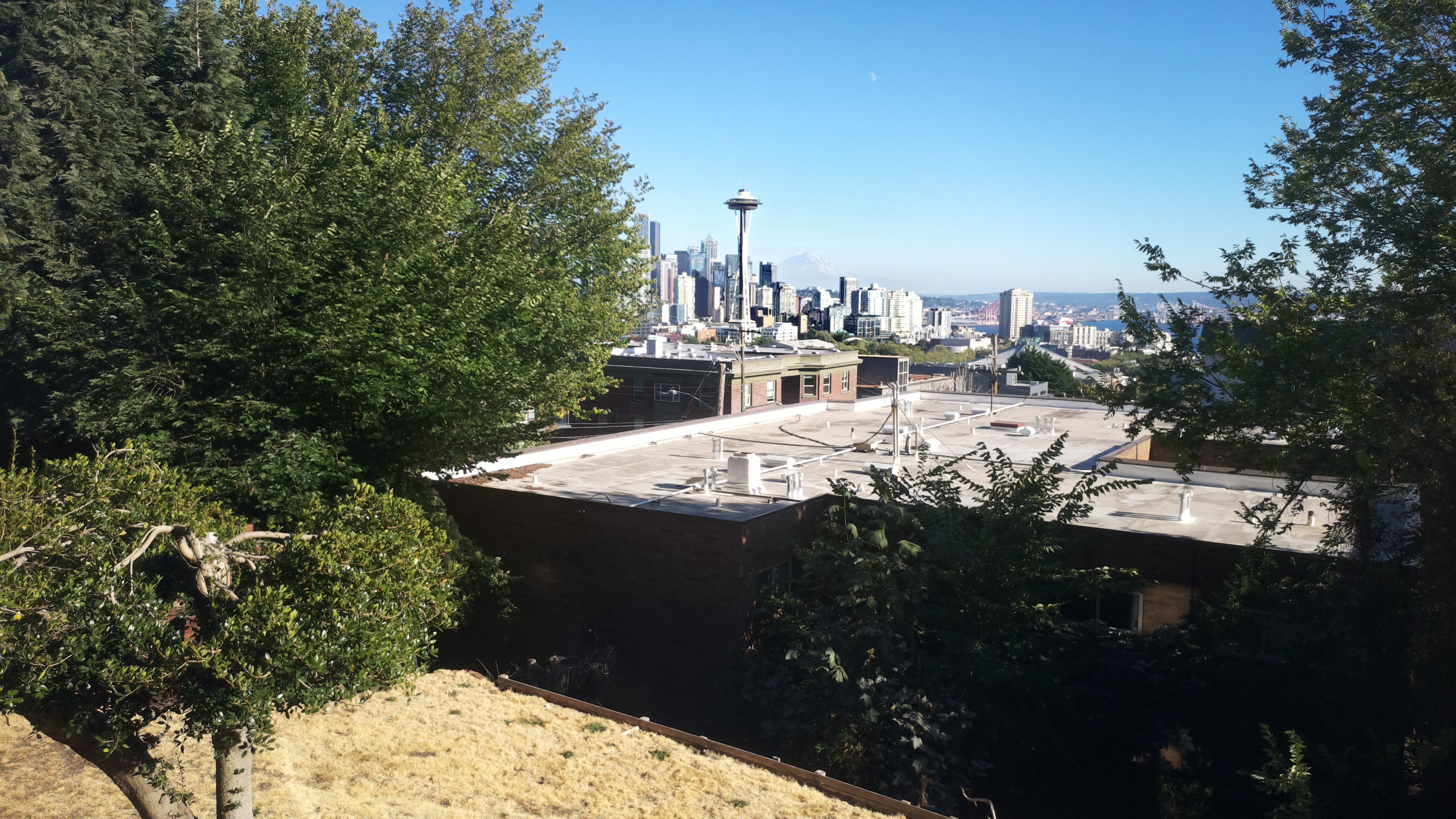 Mt. Rainier from Seattle — Thursday, August 20