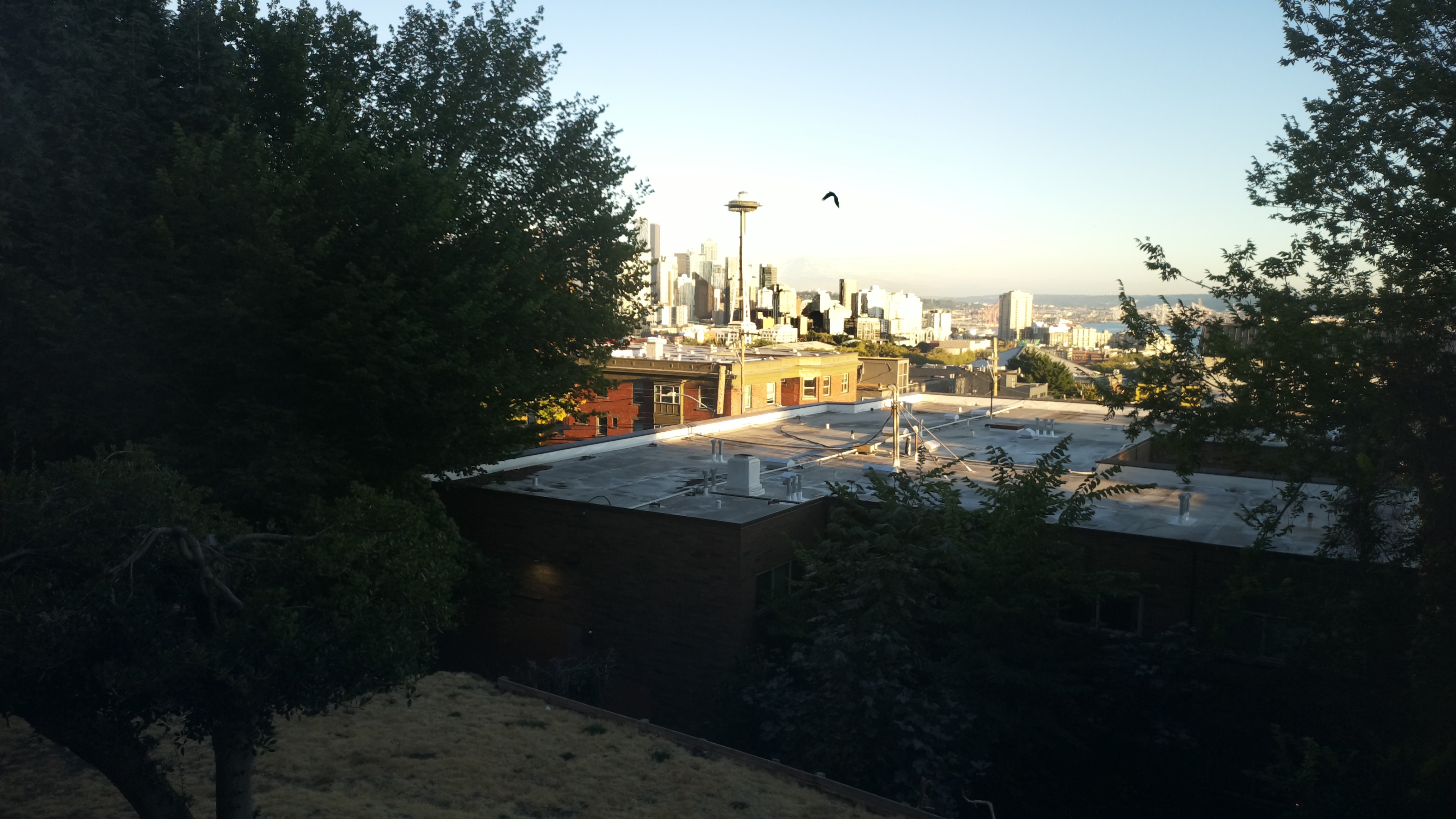 Mt. Rainier from Seattle — Thursday, August 20