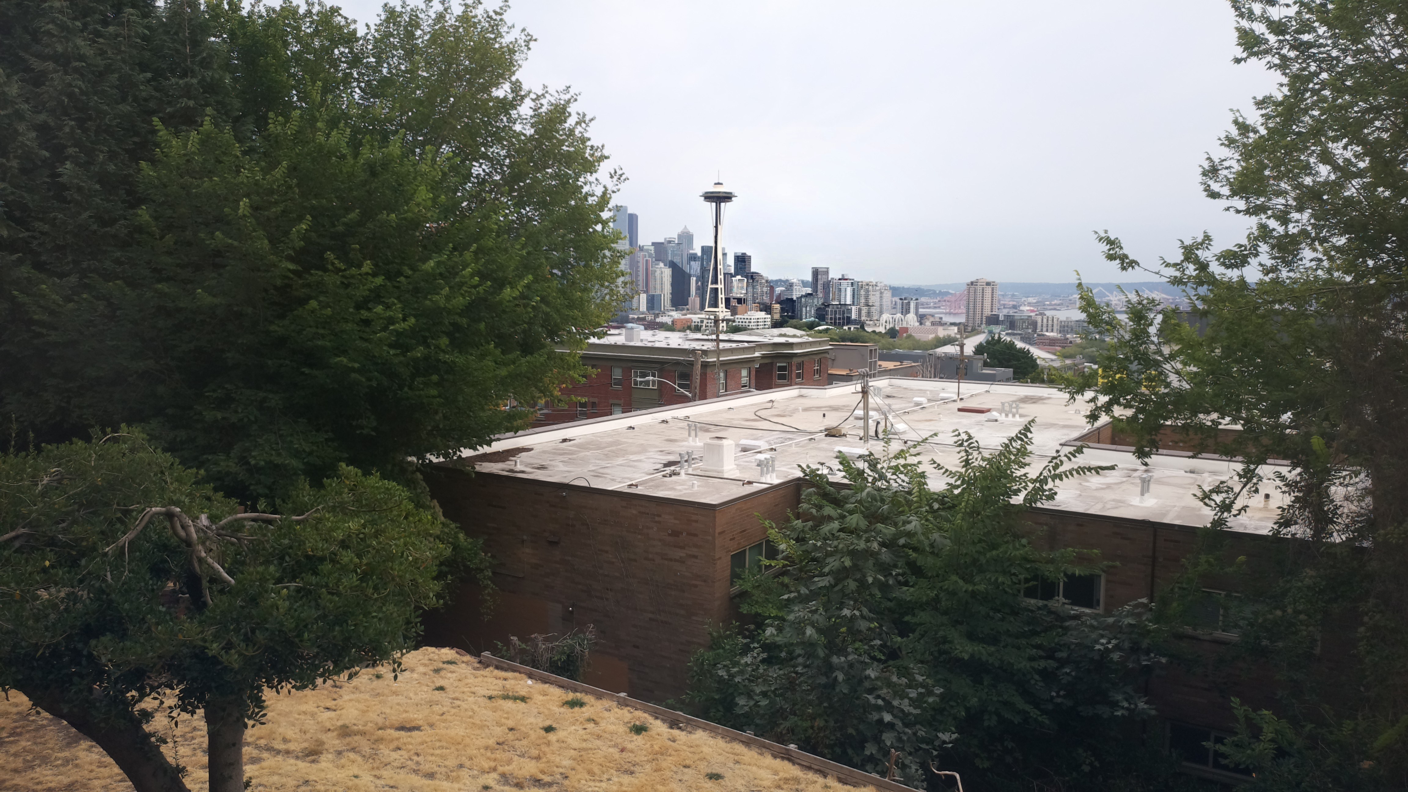 Mt. Rainier from Seattle — Friday, August 21