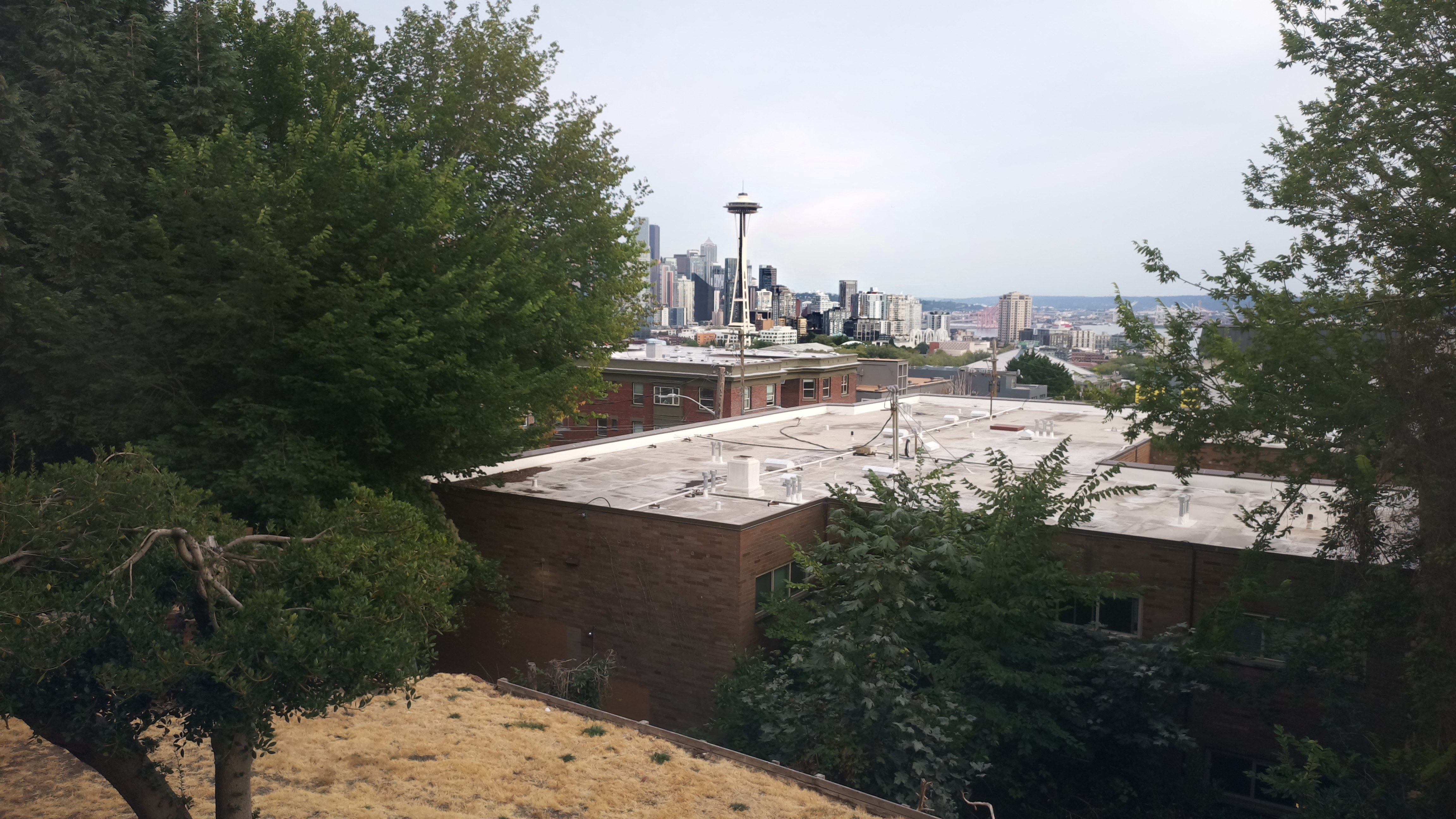 Mt. Rainier from Seattle — Friday, August 21