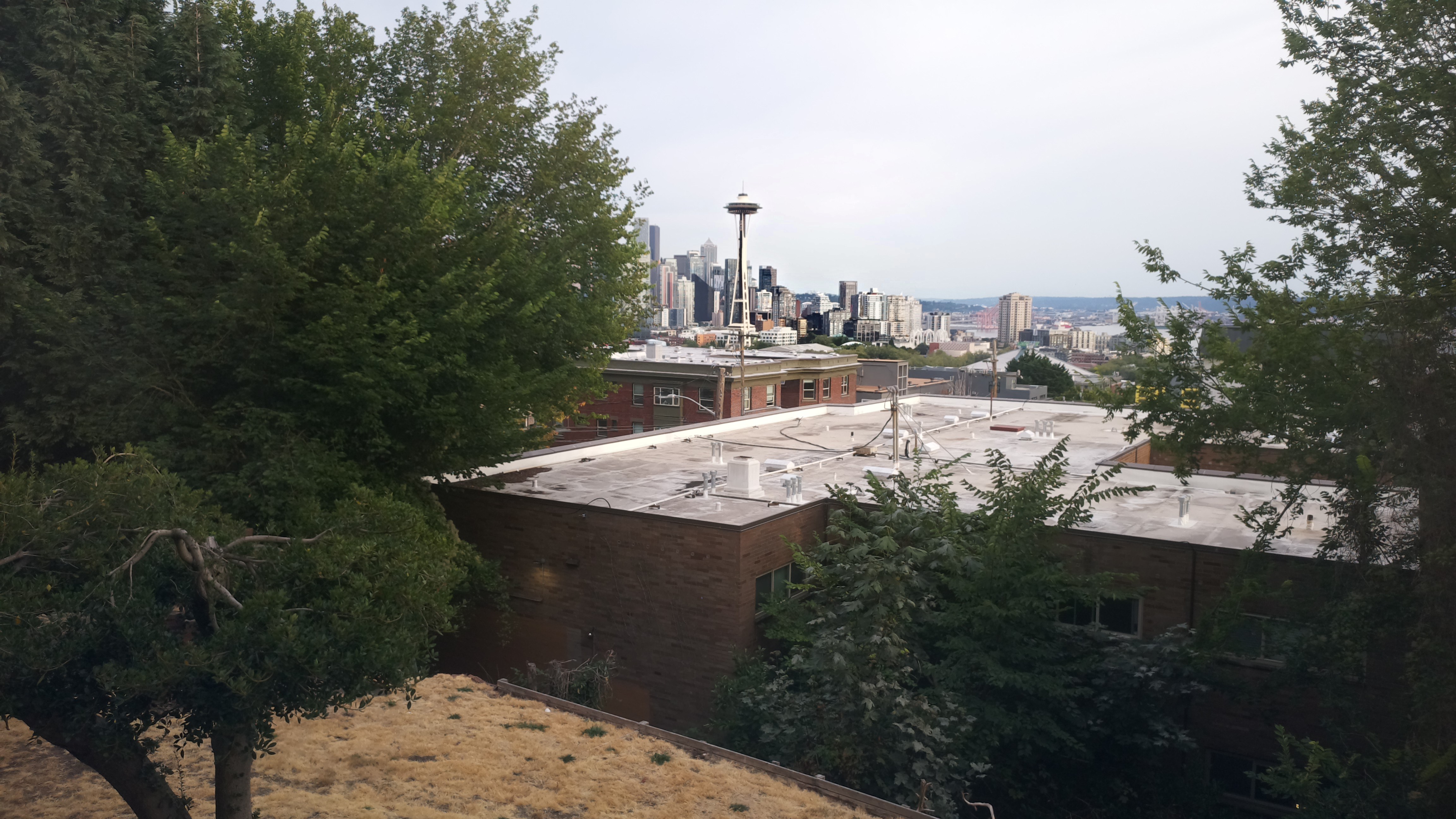 Mt. Rainier from Seattle — Friday, August 21