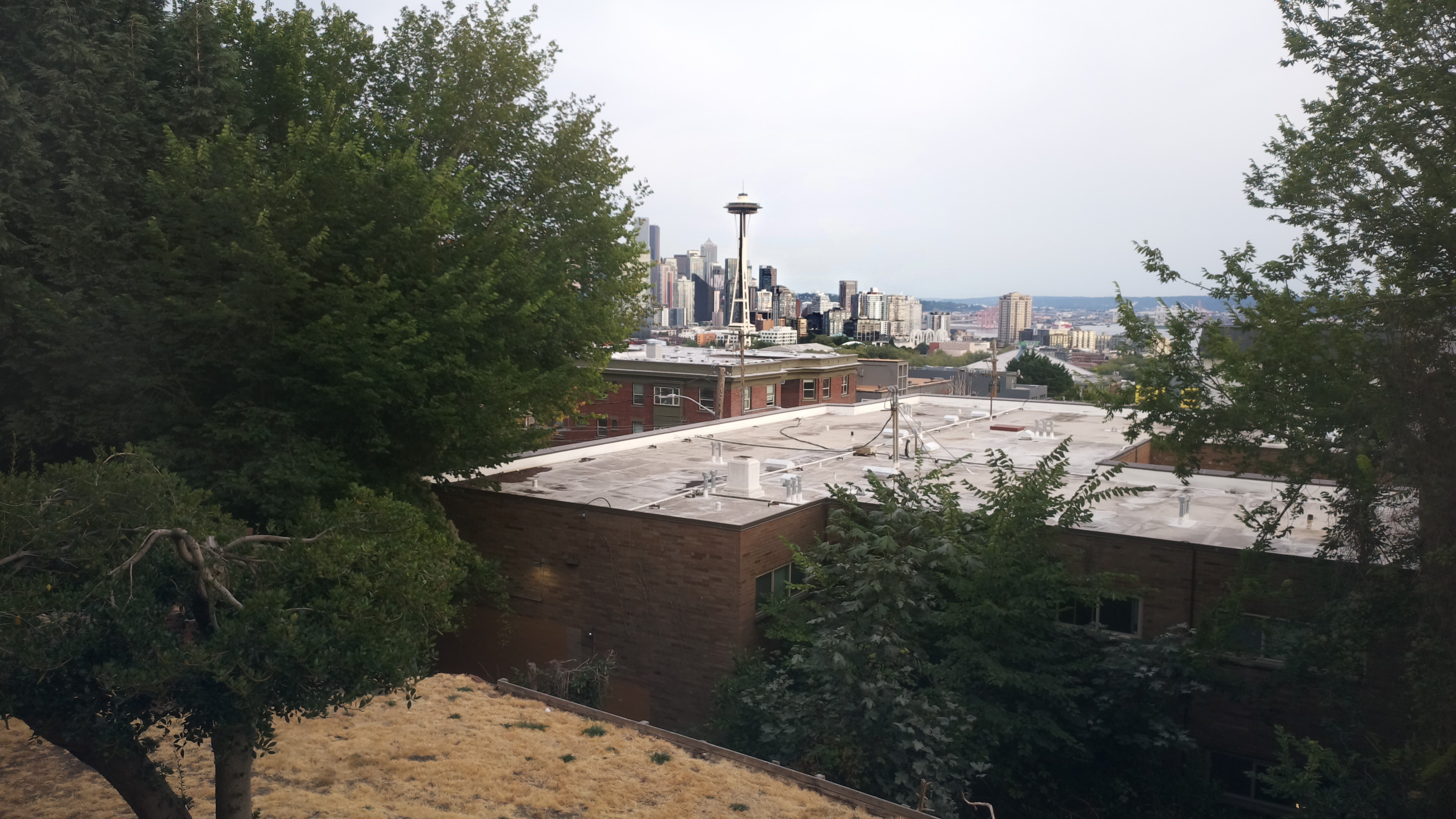 Mt. Rainier from Seattle — Friday, August 21