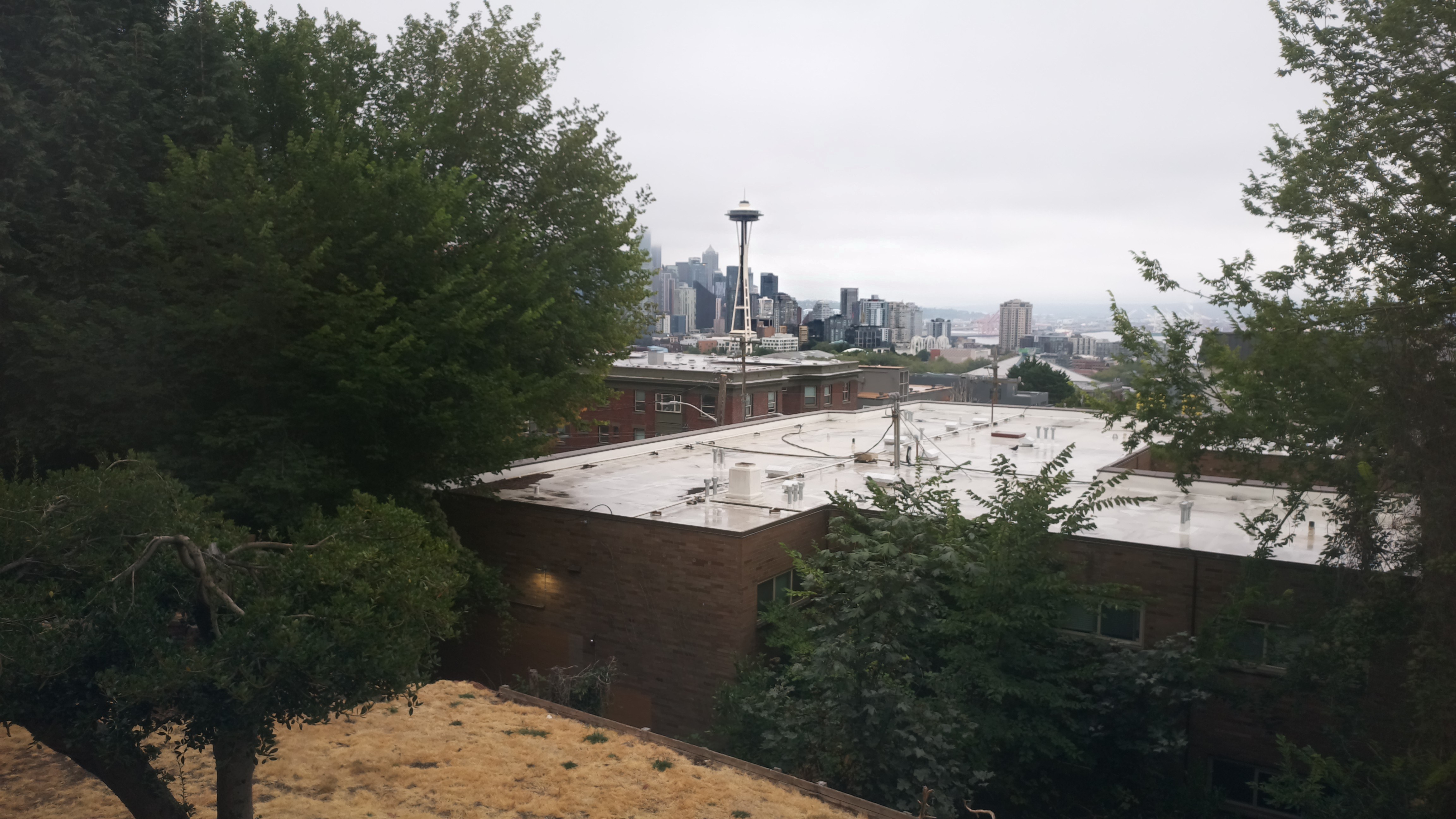 Mt. Rainier from Seattle — Saturday, August 22