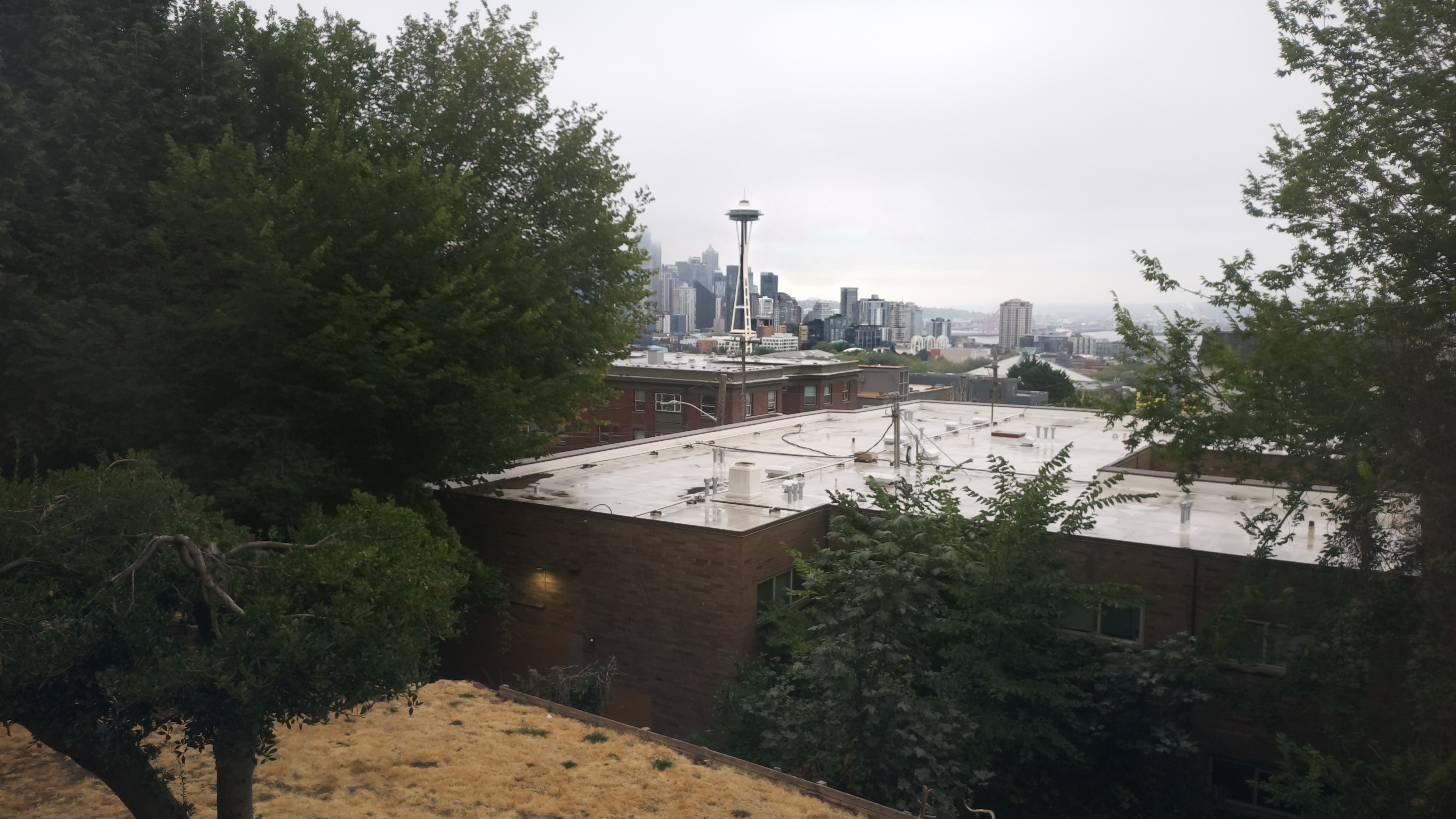 Mt. Rainier from Seattle — Saturday, August 22