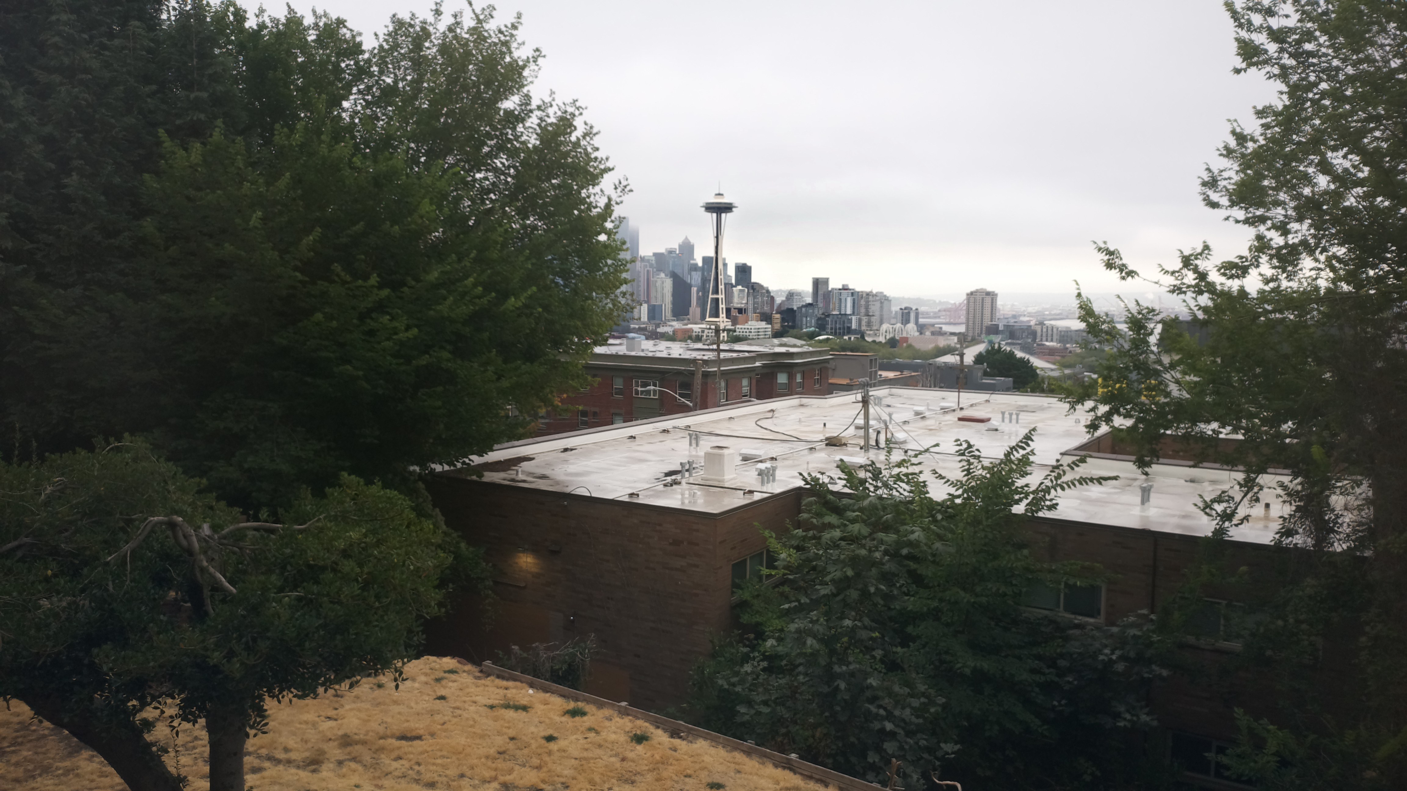Mt. Rainier from Seattle — Saturday, August 22