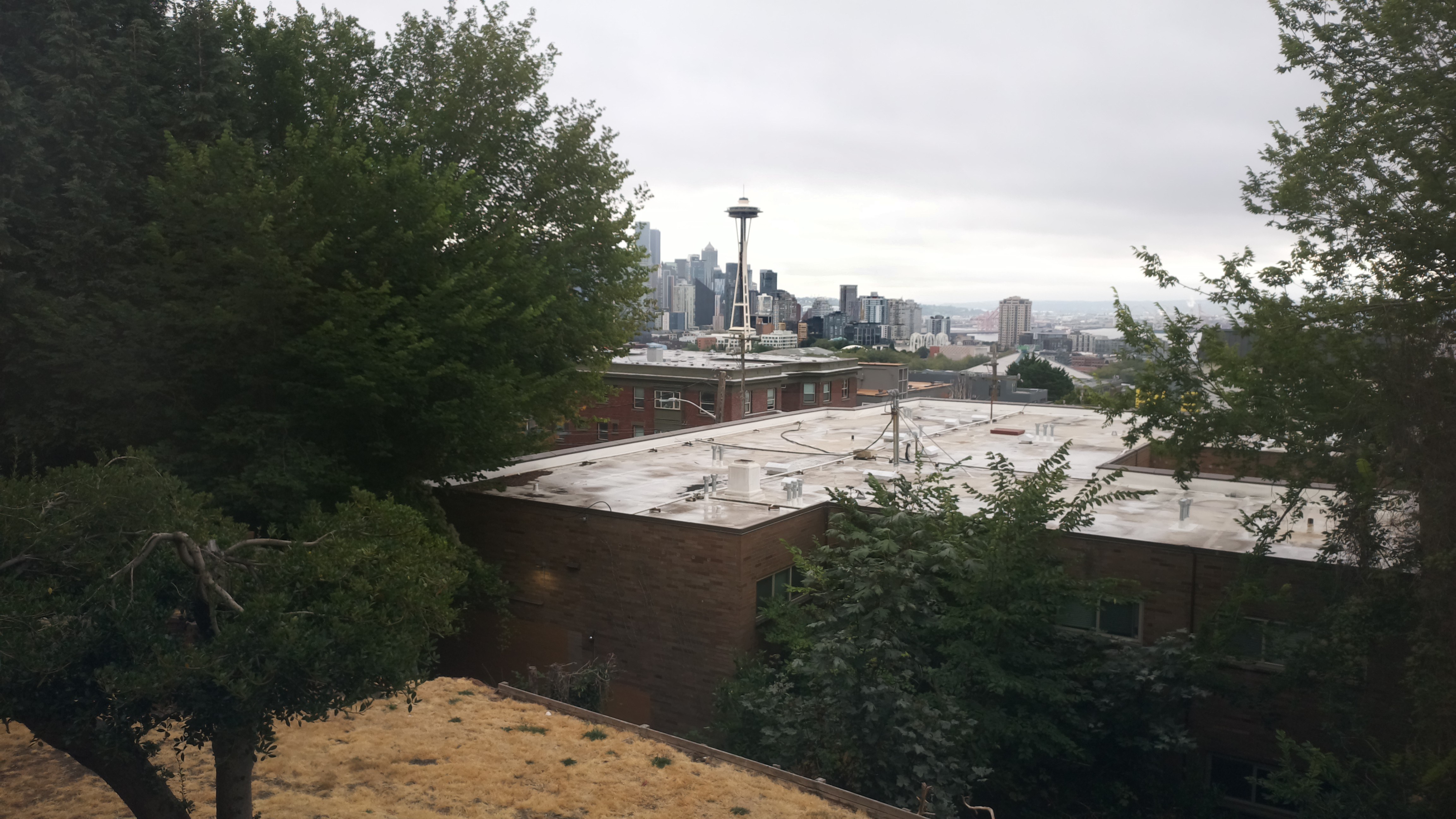 Mt. Rainier from Seattle — Saturday, August 22
