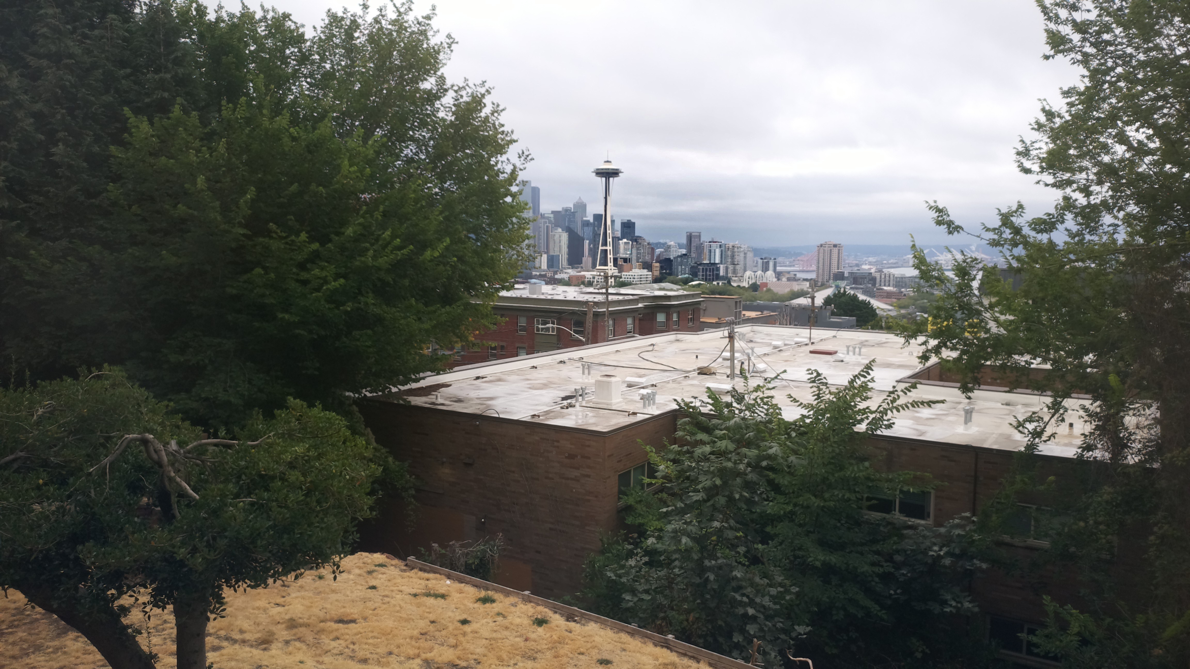Mt. Rainier from Seattle — Saturday, August 22
