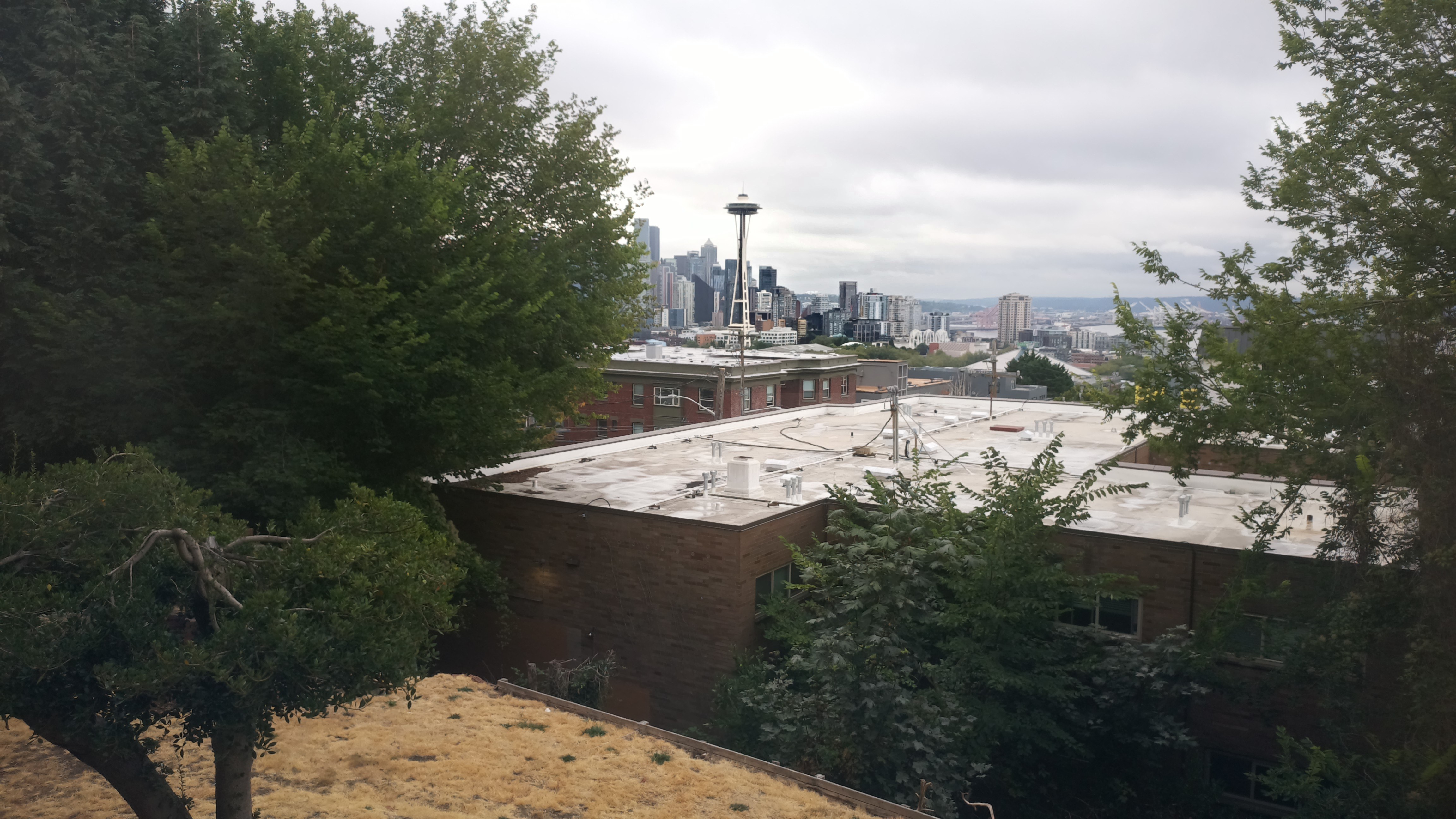 Mt. Rainier from Seattle — Saturday, August 22