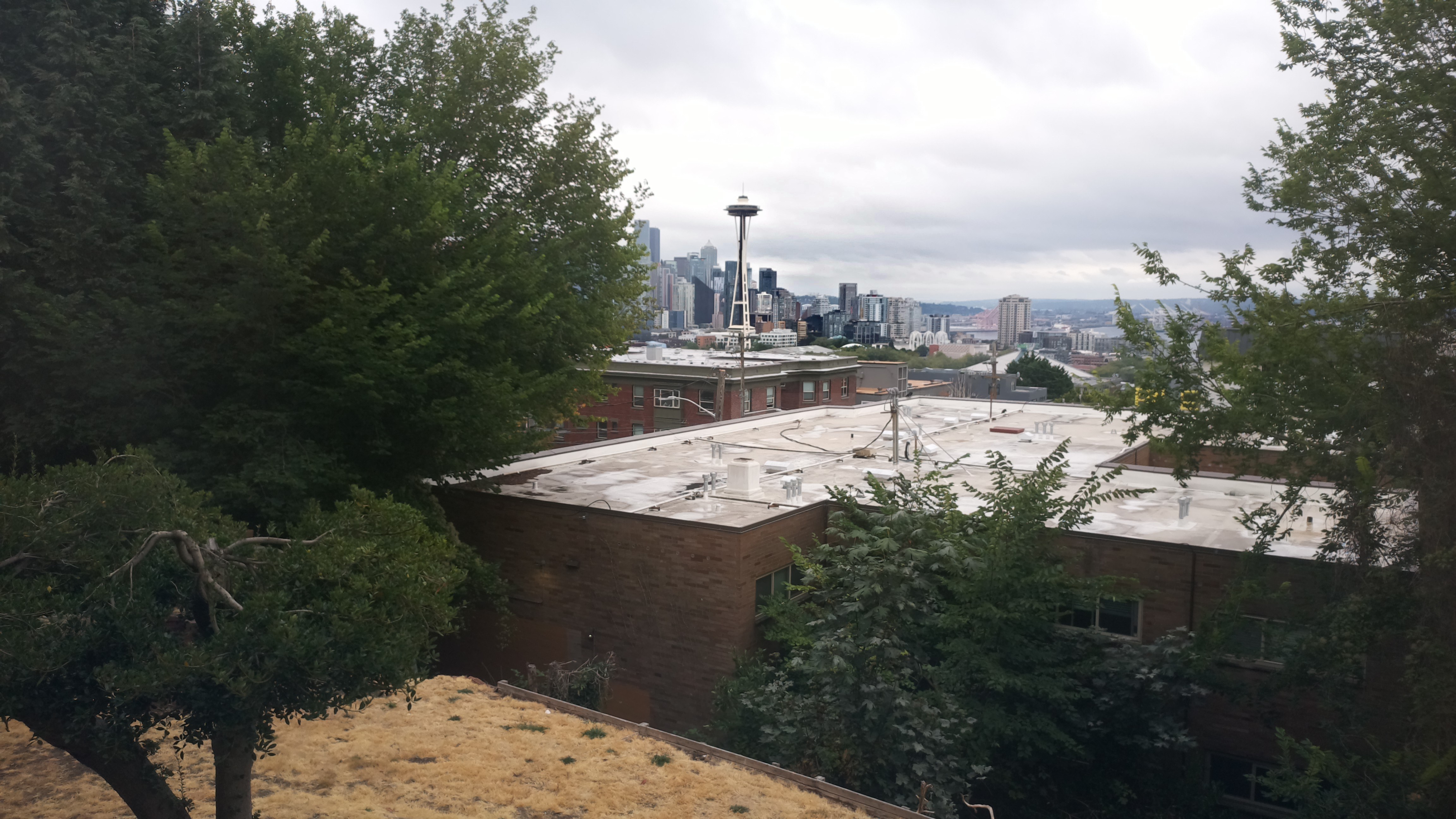 Mt. Rainier from Seattle — Saturday, August 22