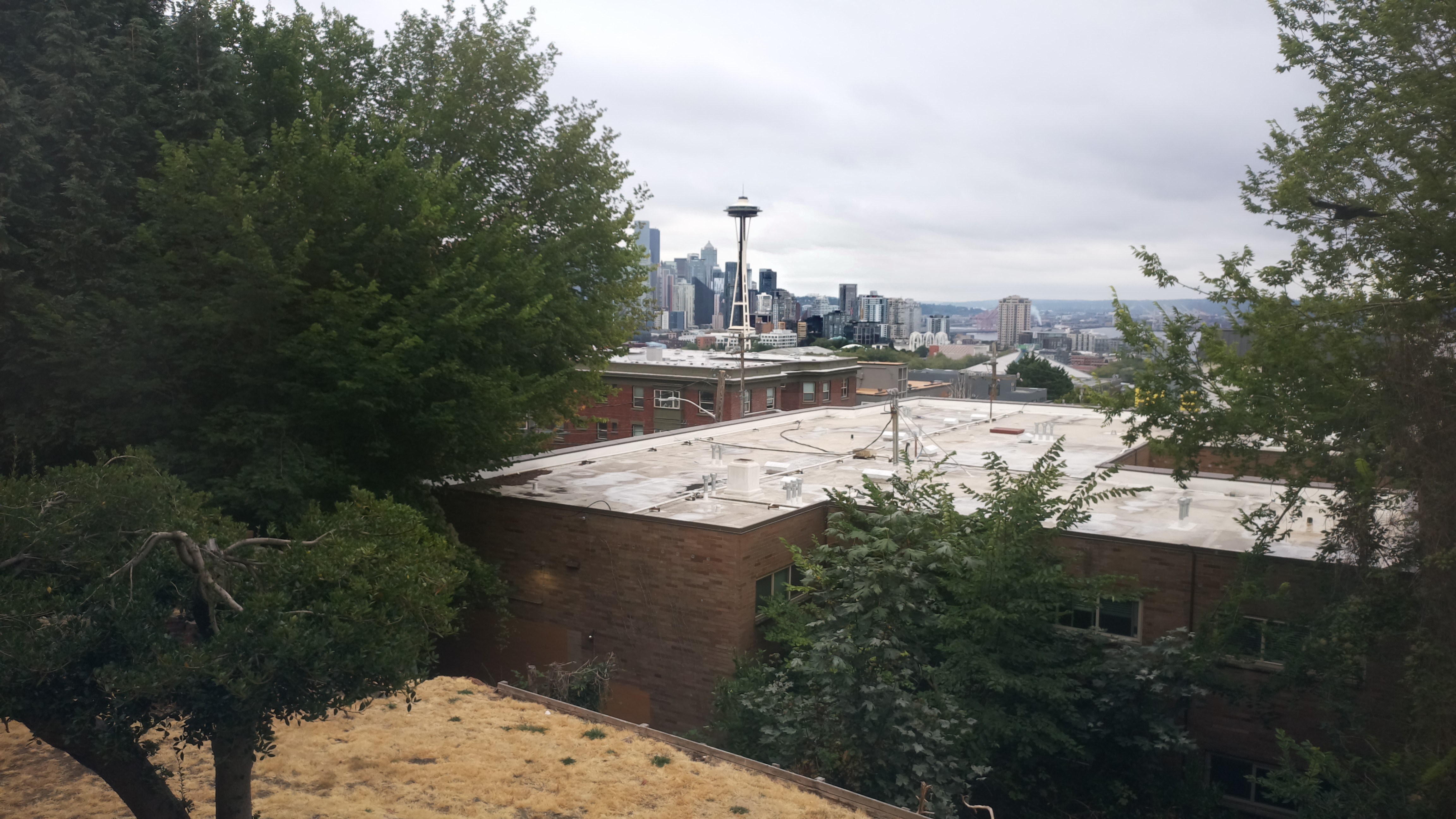 Mt. Rainier from Seattle — Saturday, August 22